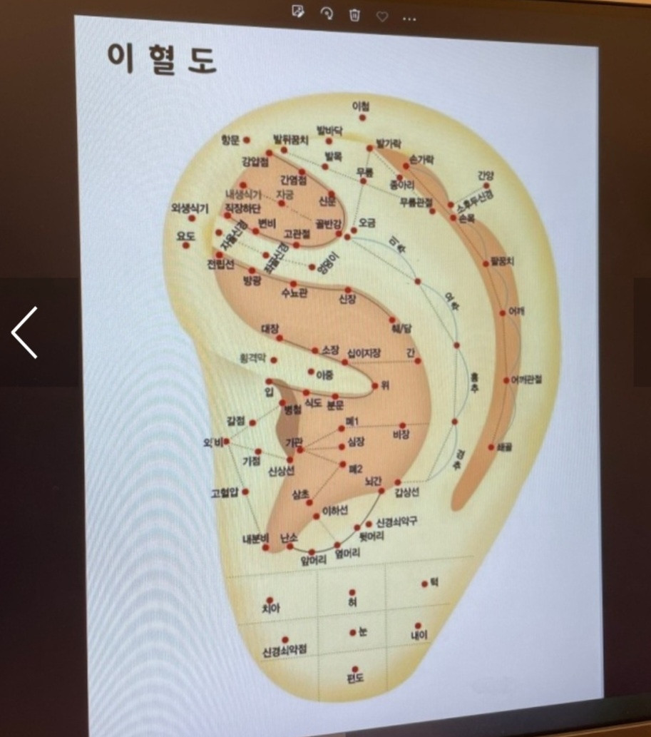 셀비오두피탈모건강