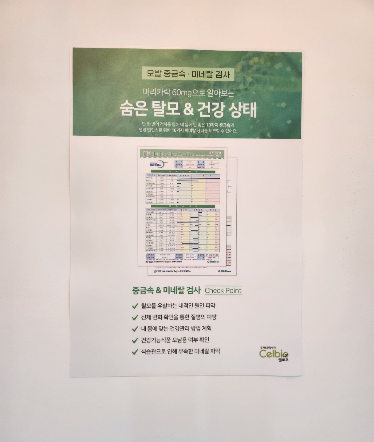 셀비오두피탈모건강
