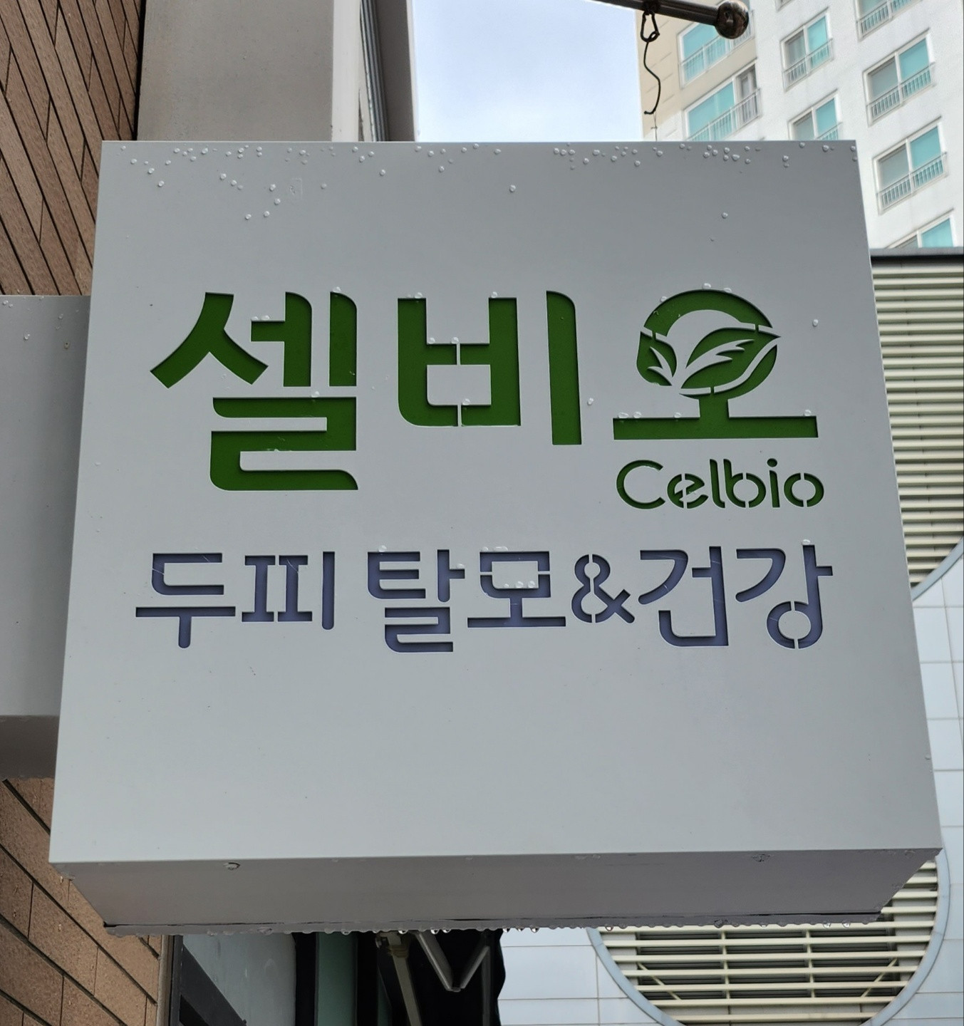셀비오두피탈모건강