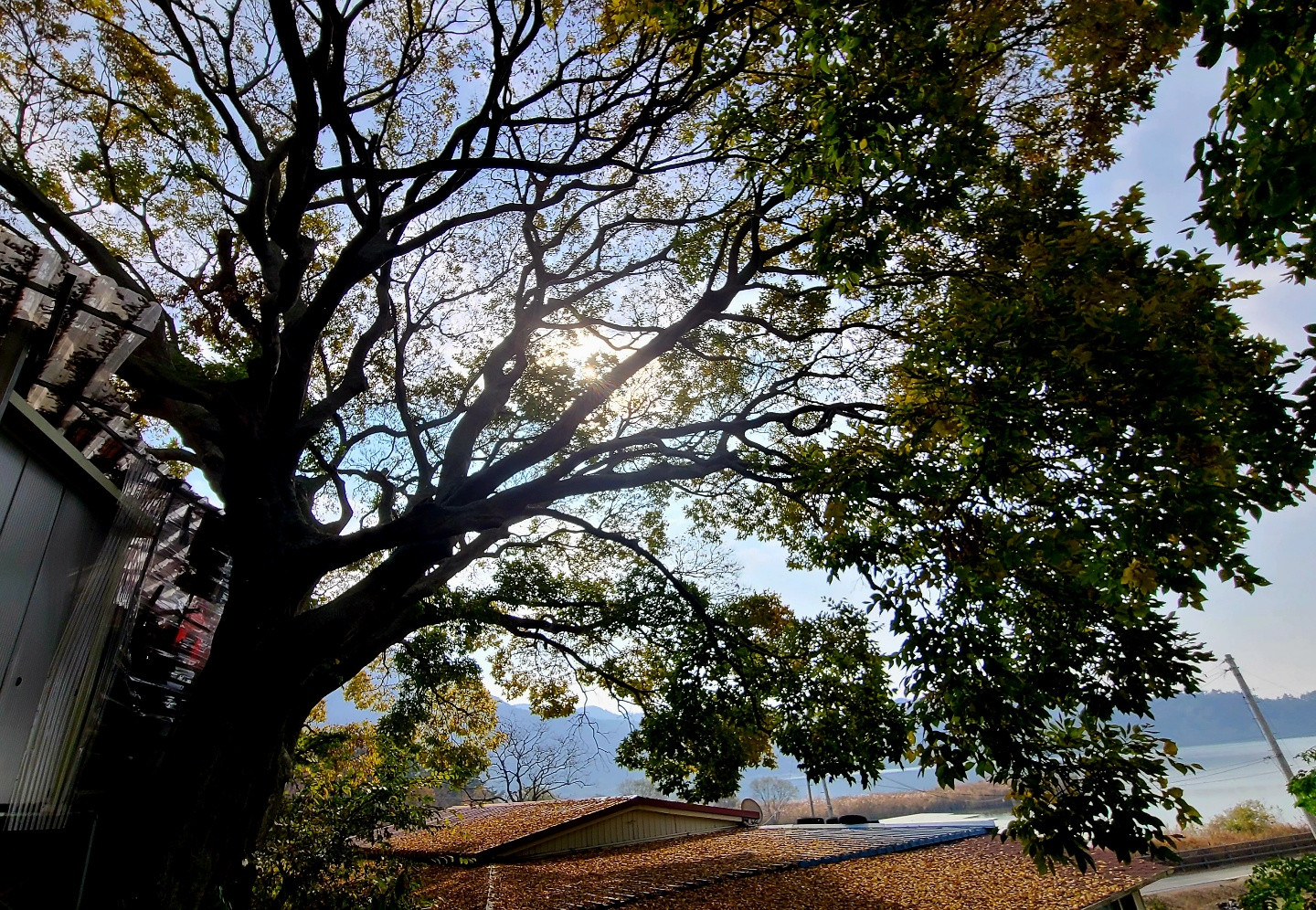 삼한신궁 삼한사