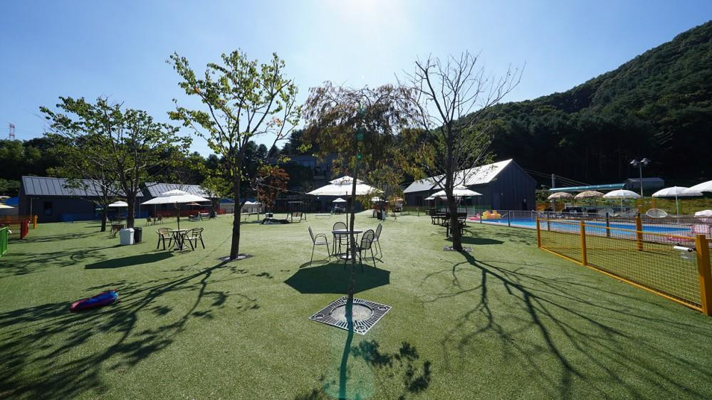 별빛애견펜션
