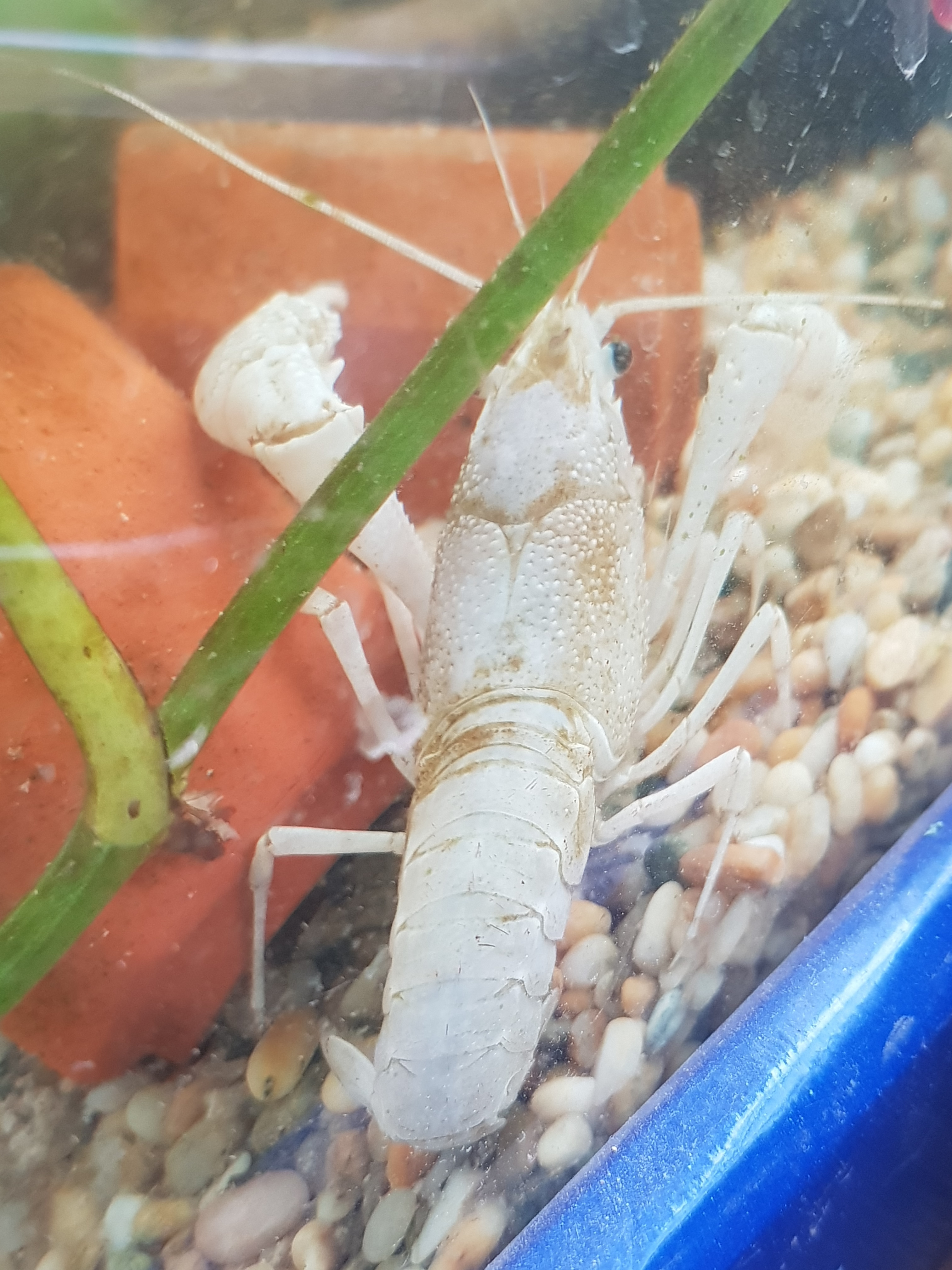 찬우물체험동물농장