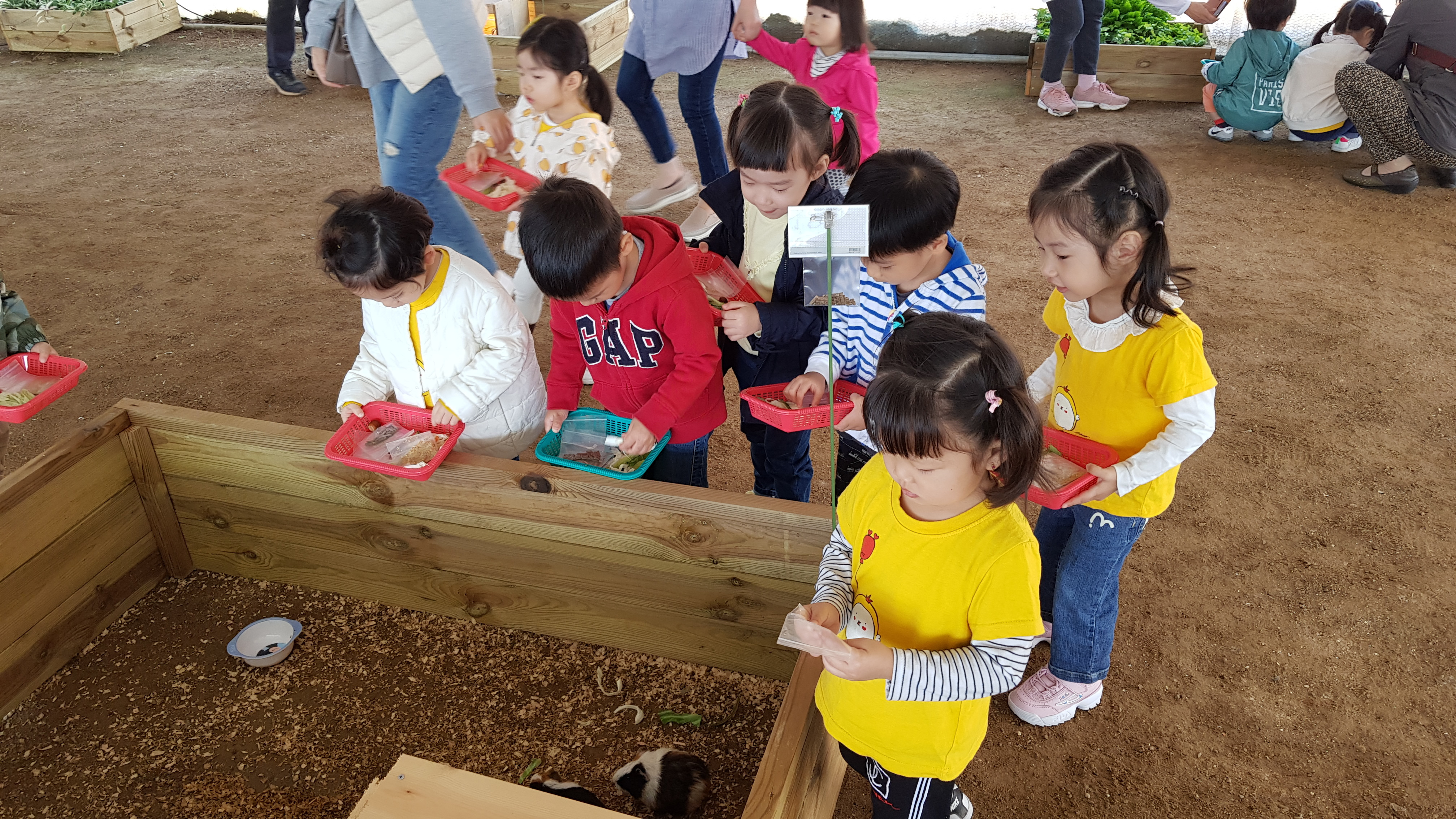 찬우물체험동물농장