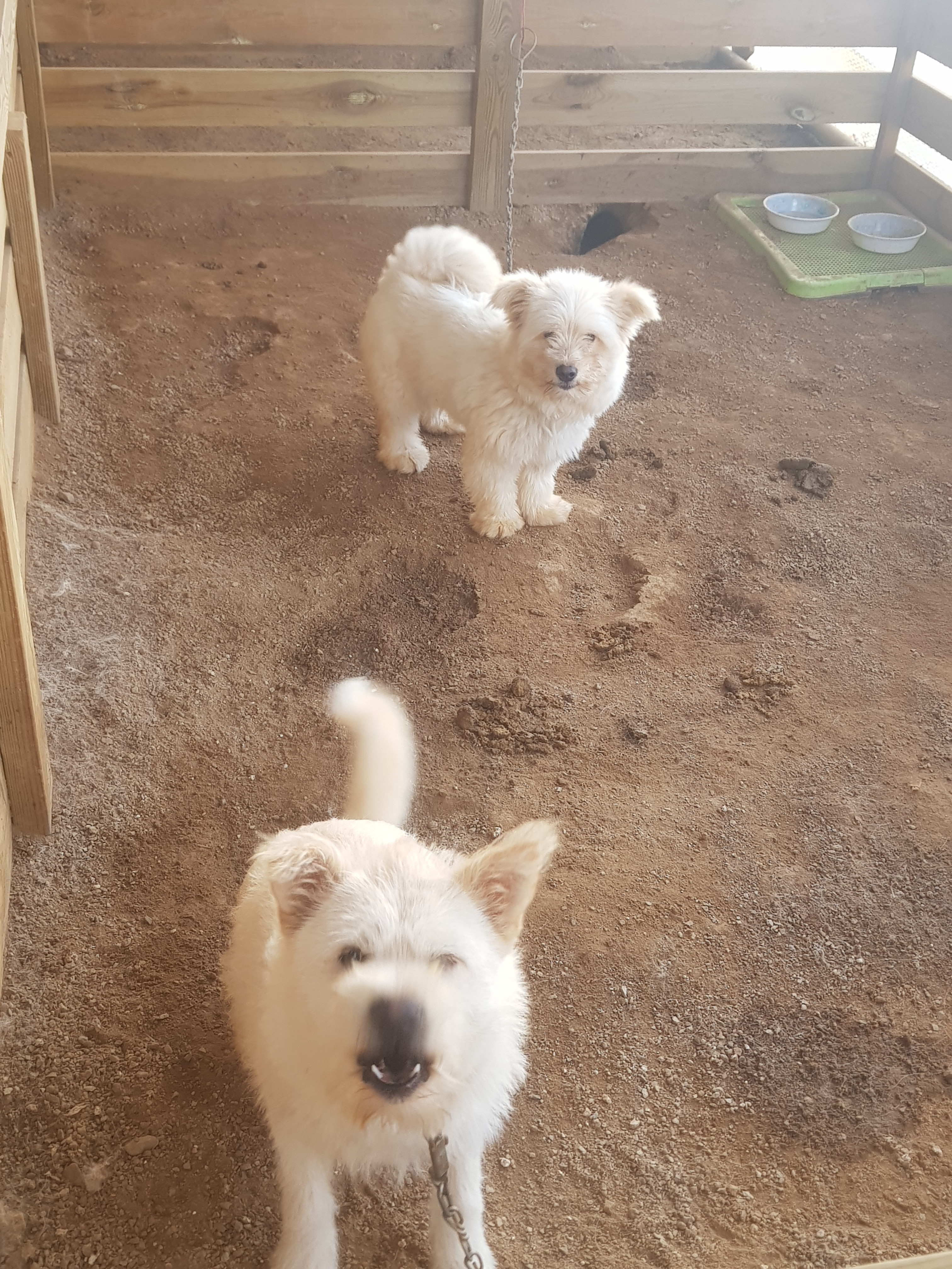 찬우물체험동물농장