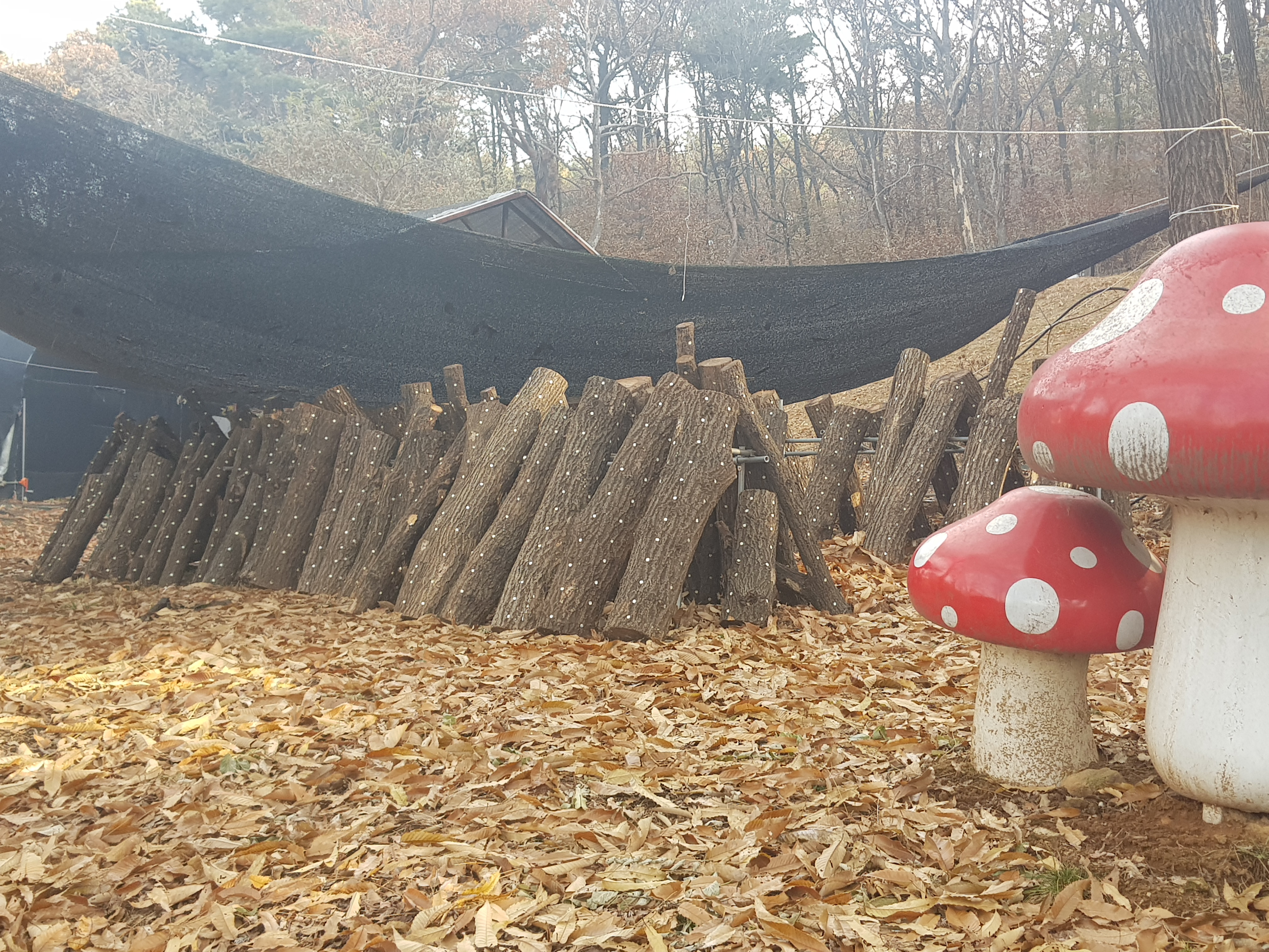 찬우물체험동물농장