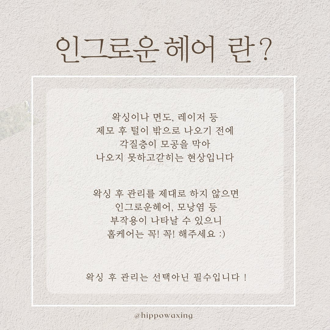 히포왁싱