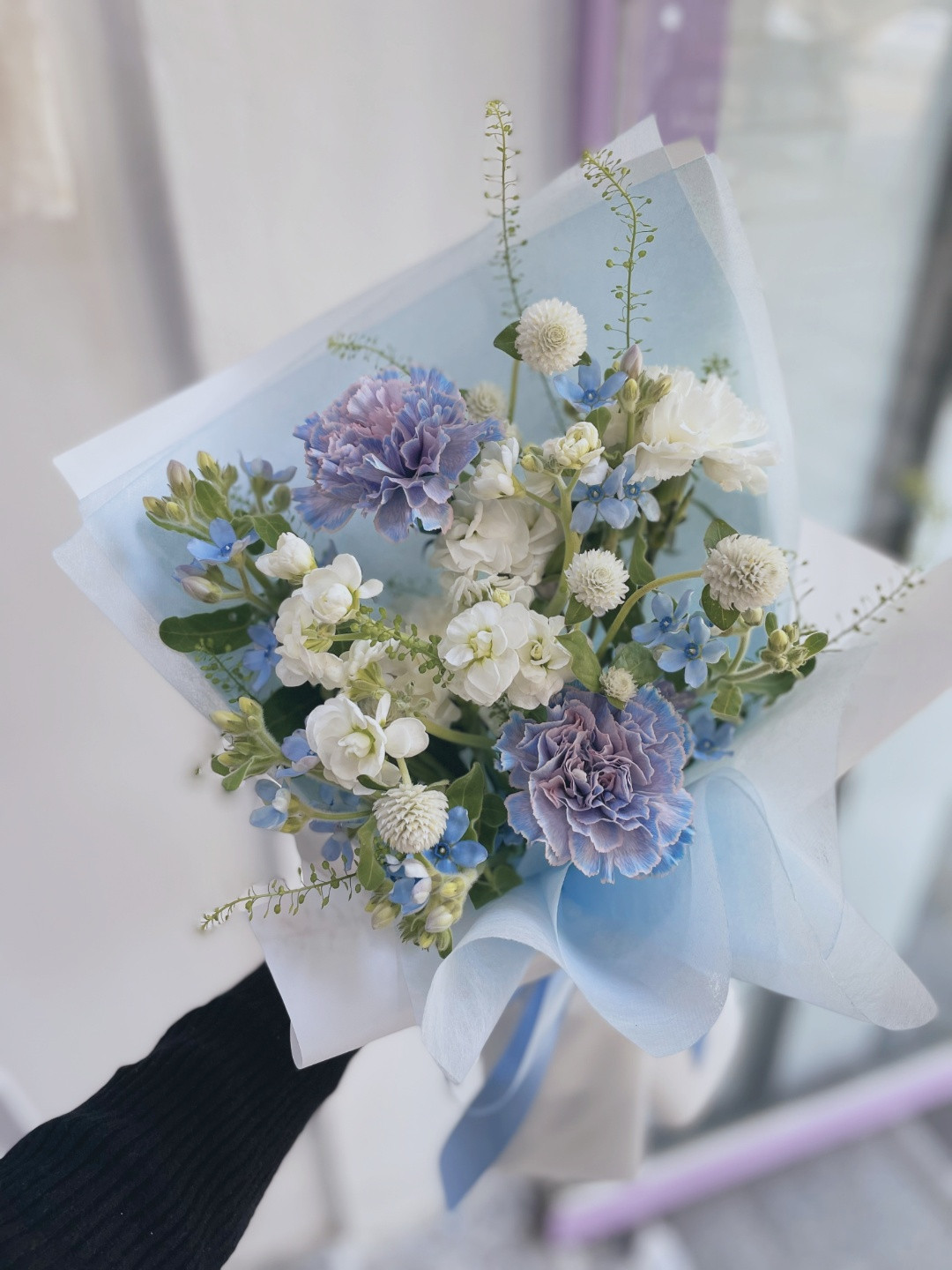 선피움