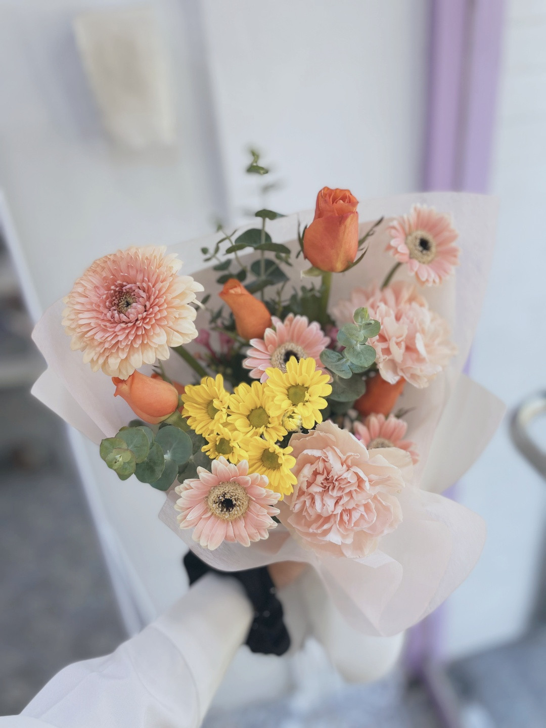 선피움