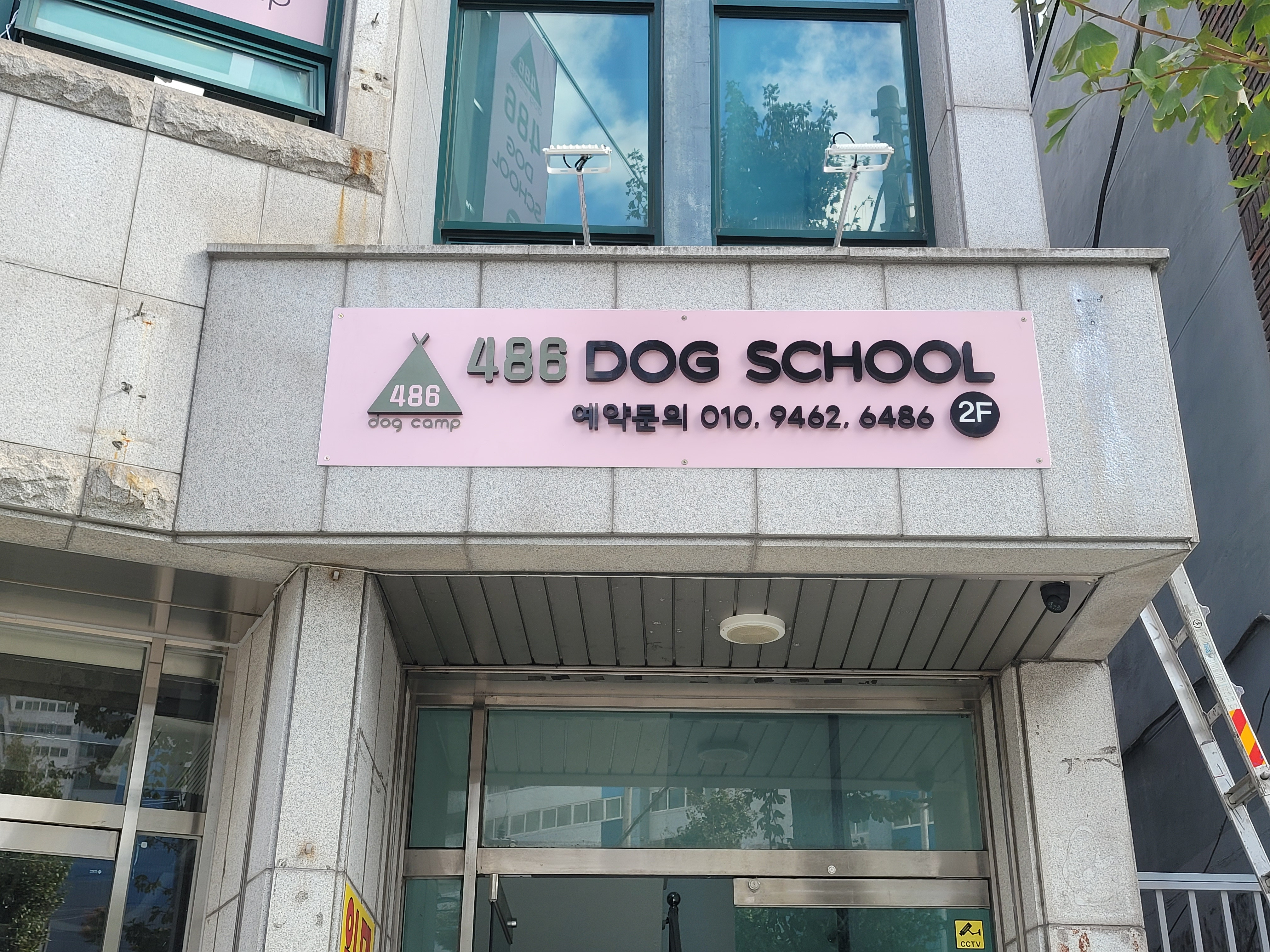 486독스쿨