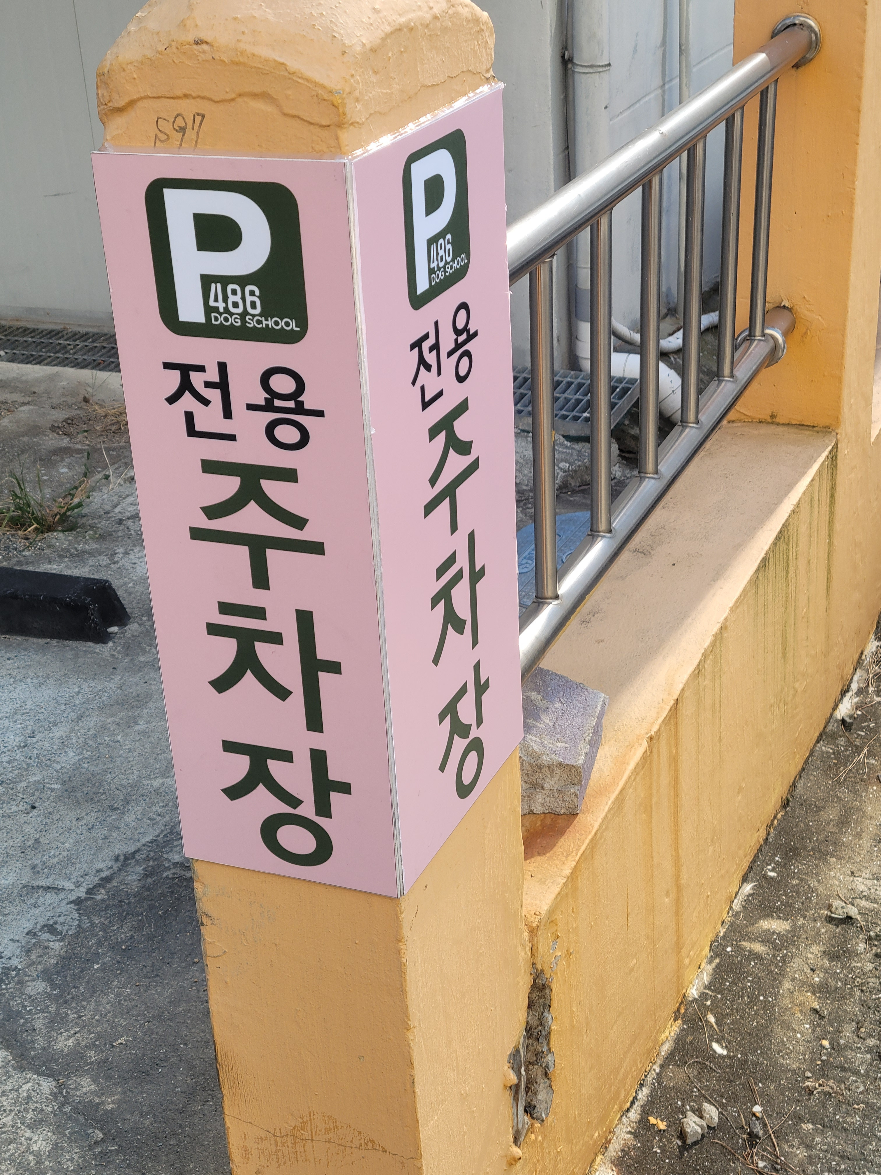 486독스쿨