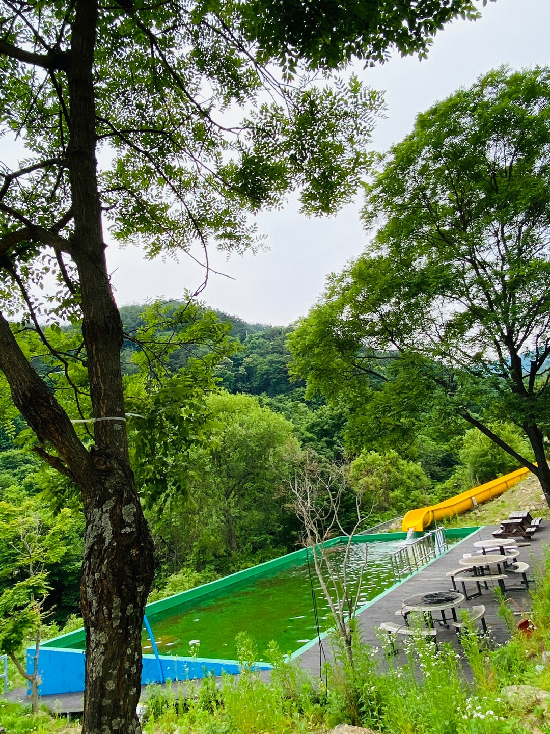 금자네펜션