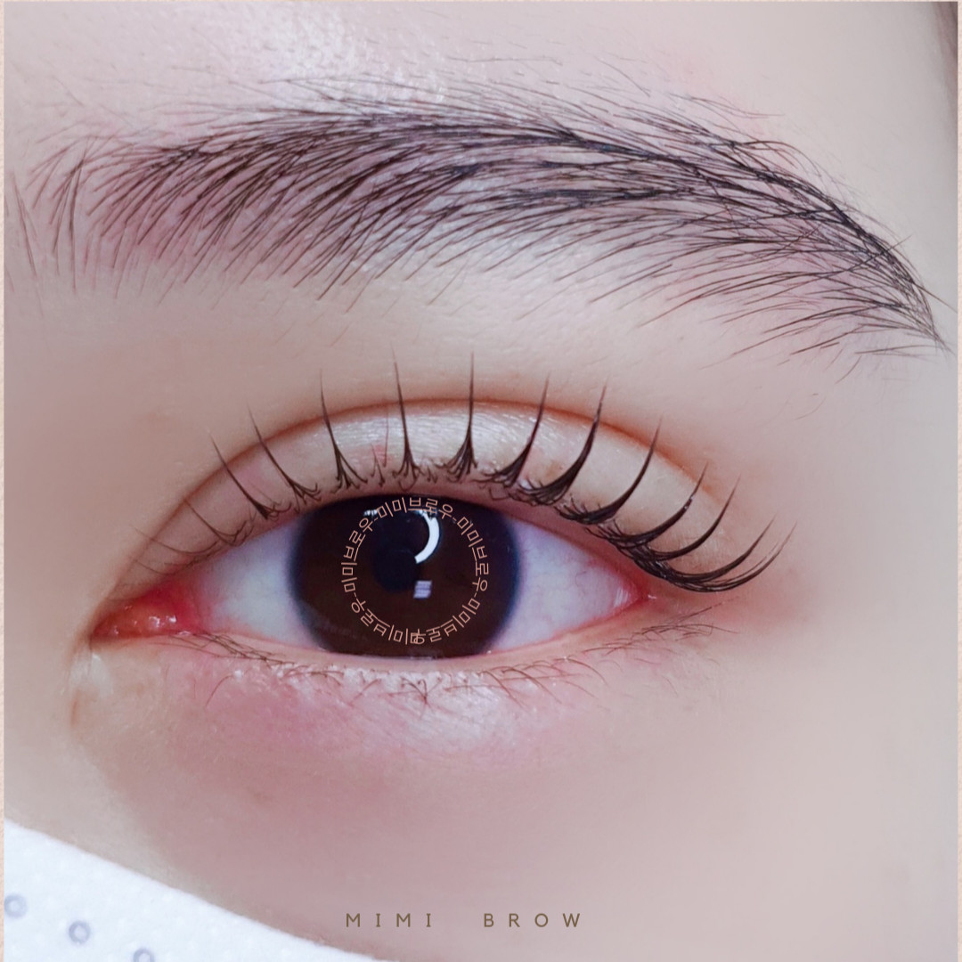쏭눈썹