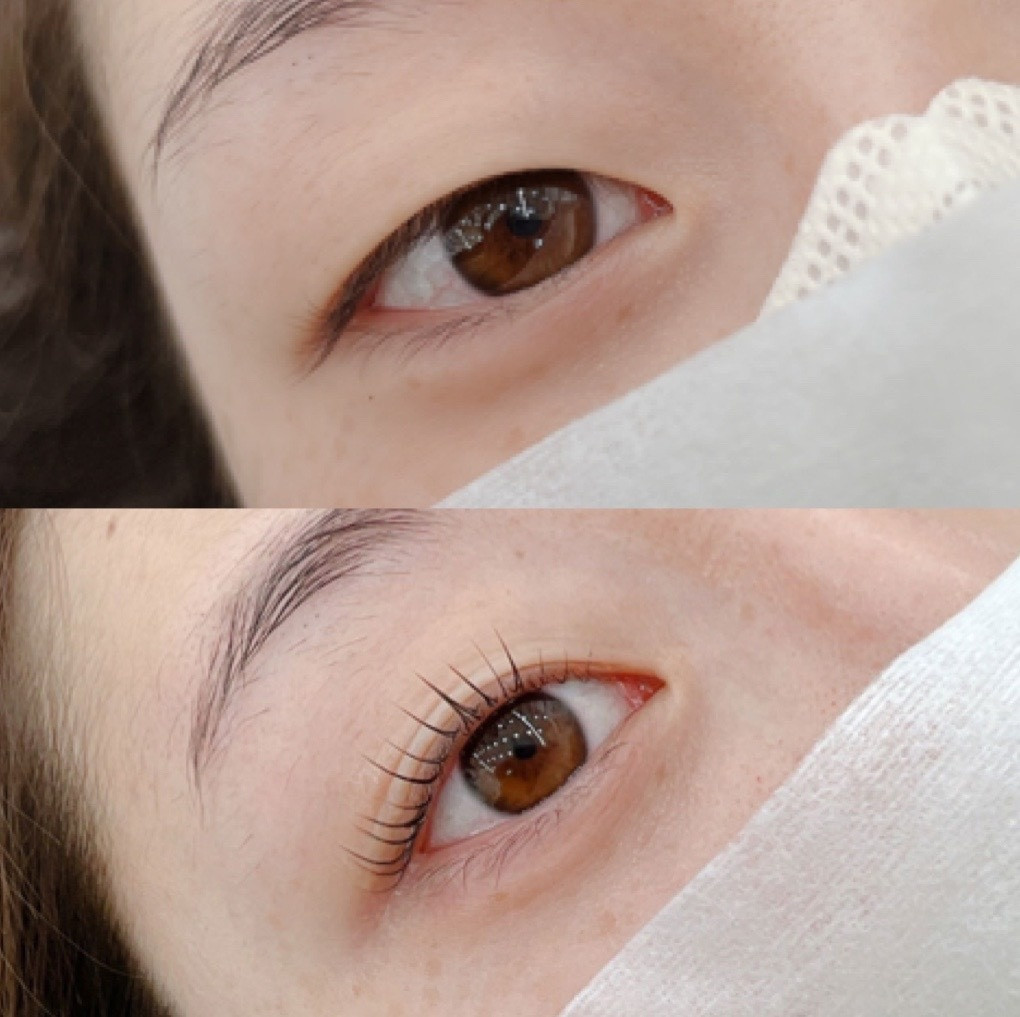 쏭눈썹