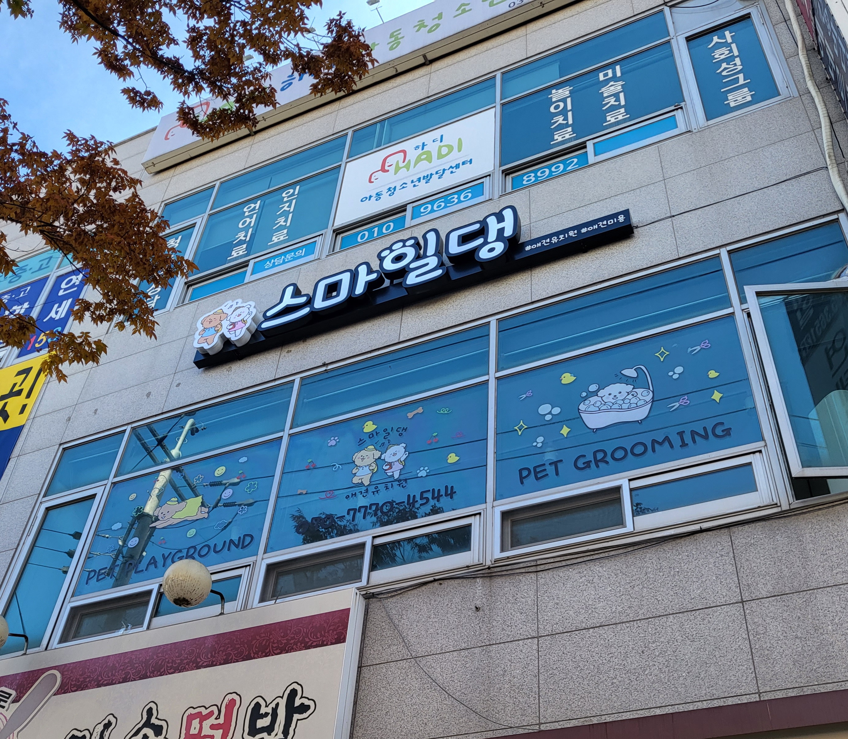 스마일댕