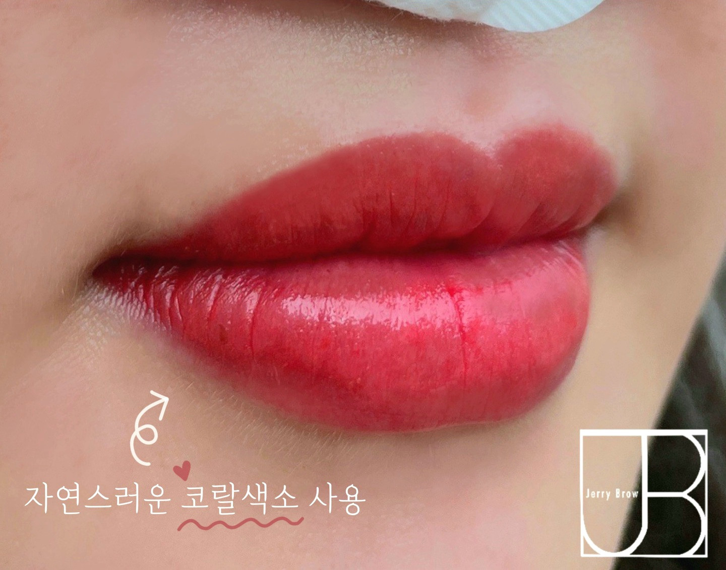 제리뷰티