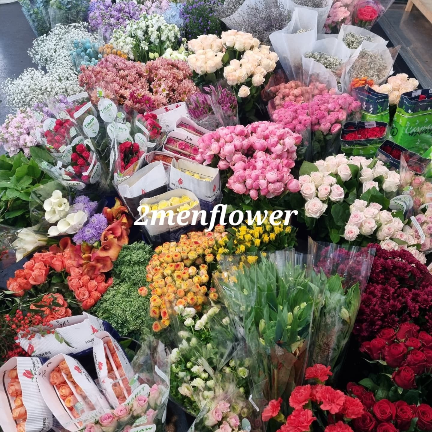 춘천꽃도소매조은생화