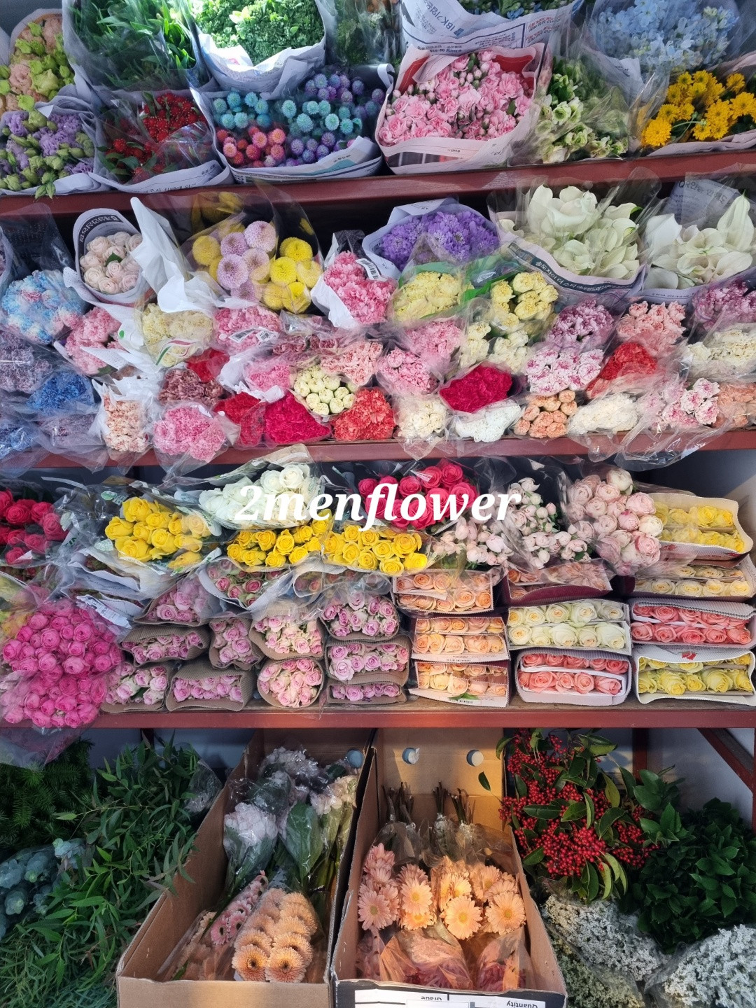 춘천꽃도소매조은생화