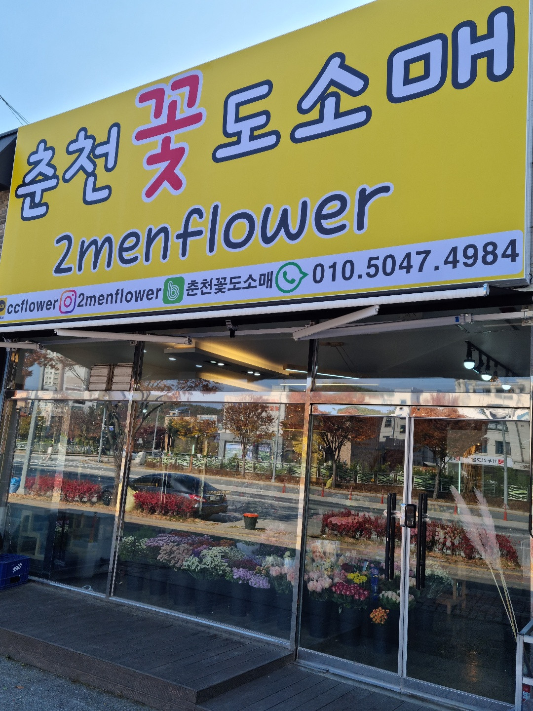 춘천꽃도소매조은생화