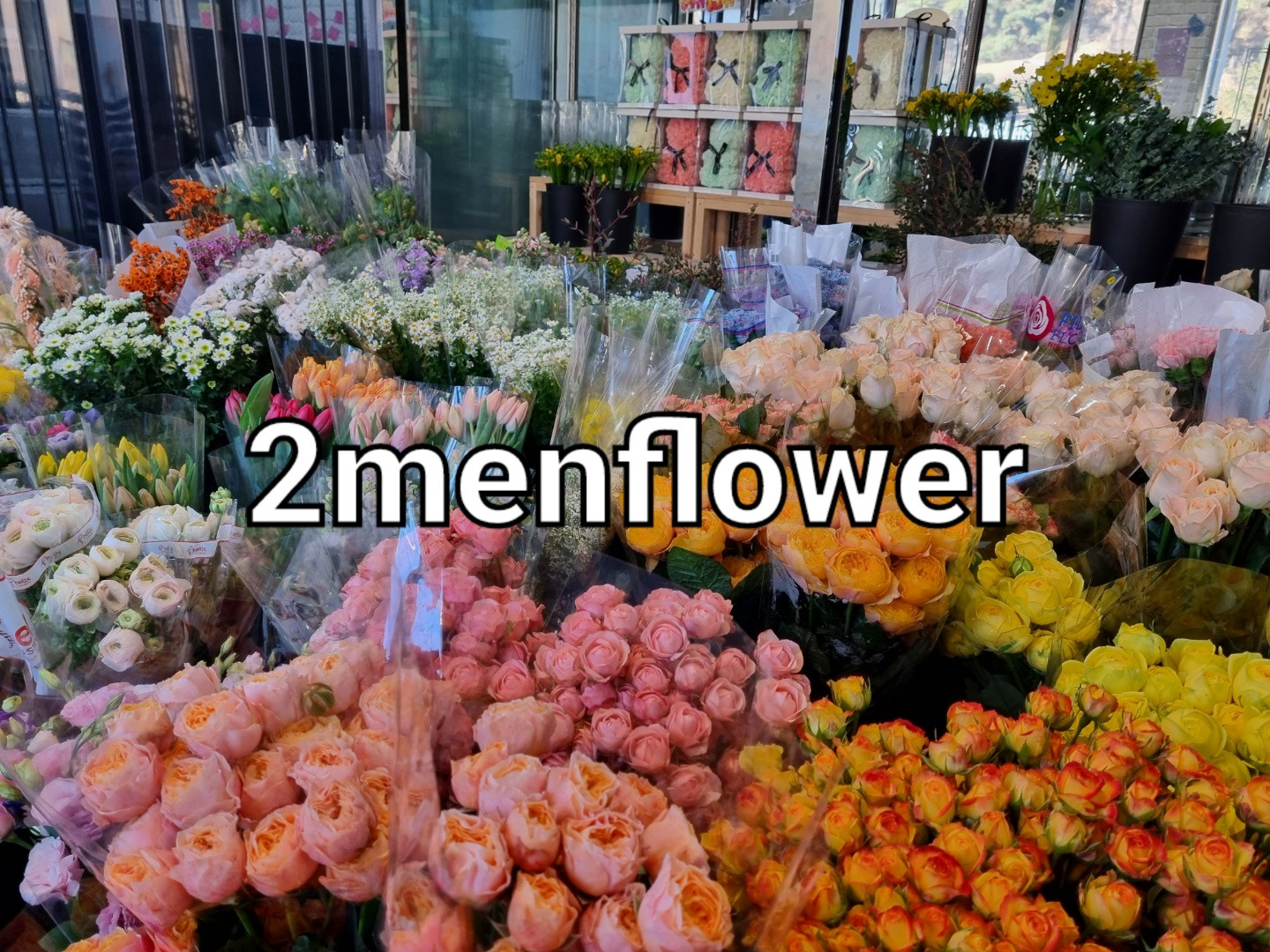 춘천꽃도소매조은생화