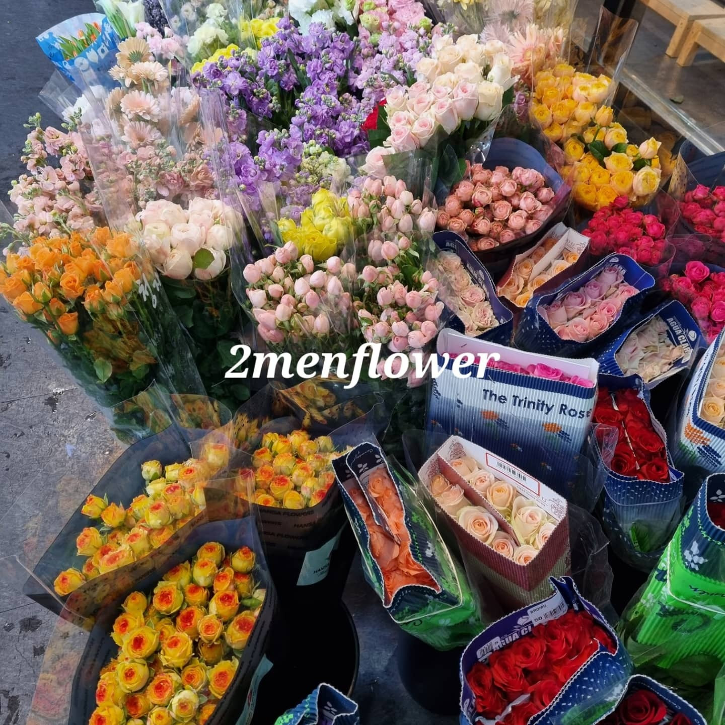 춘천꽃도소매조은생화