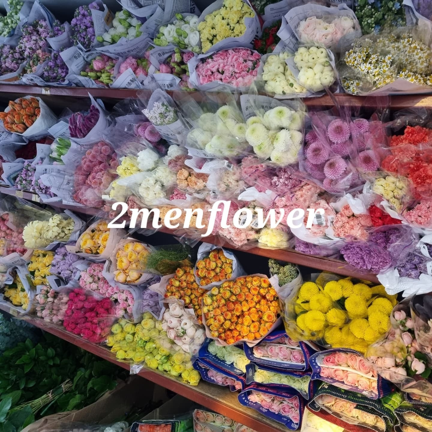 춘천꽃도소매조은생화