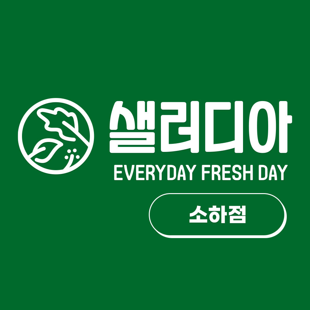 샐러디아소하점