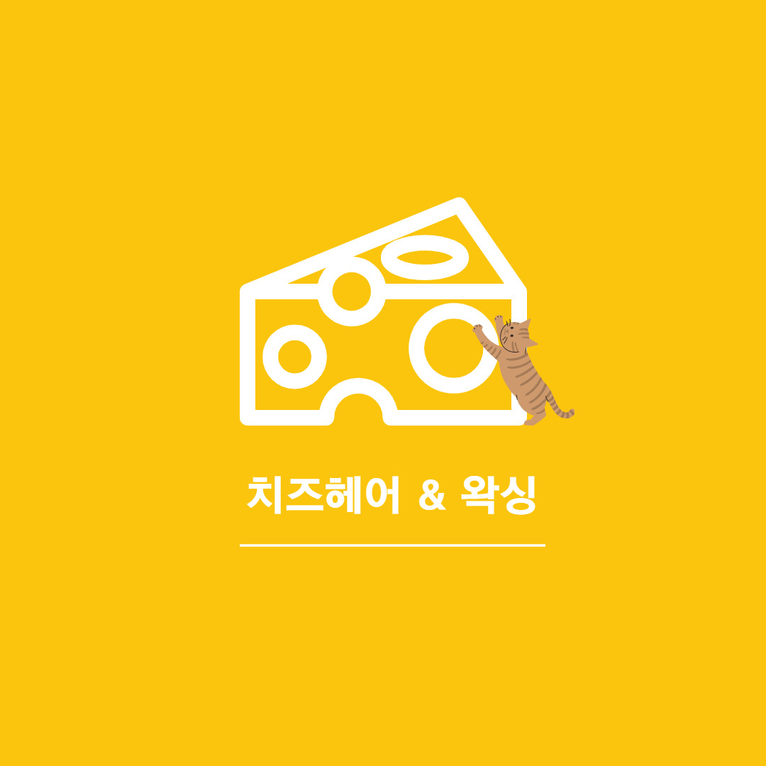 치즈헤어