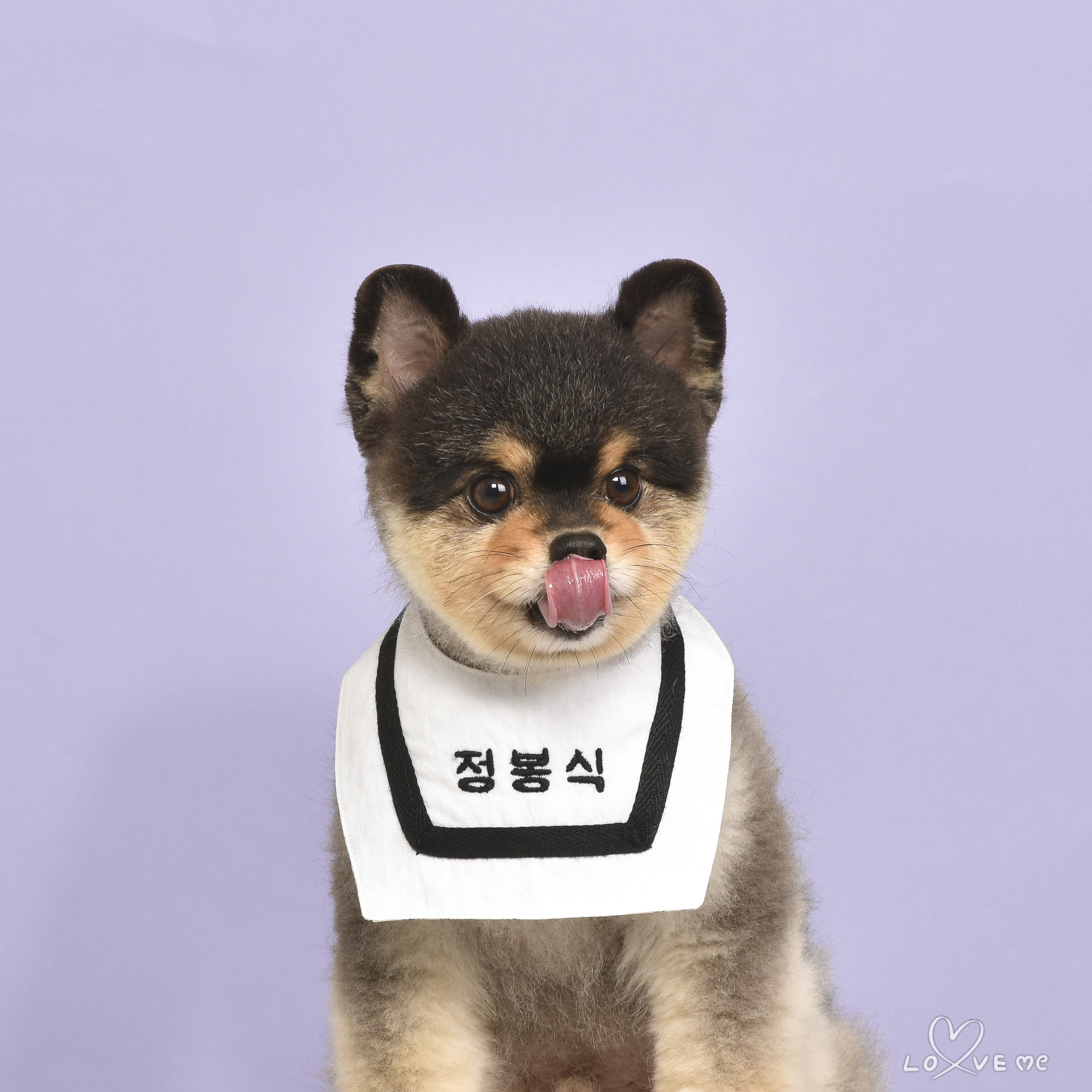 럽미앤퍼피스튜디오 성성점