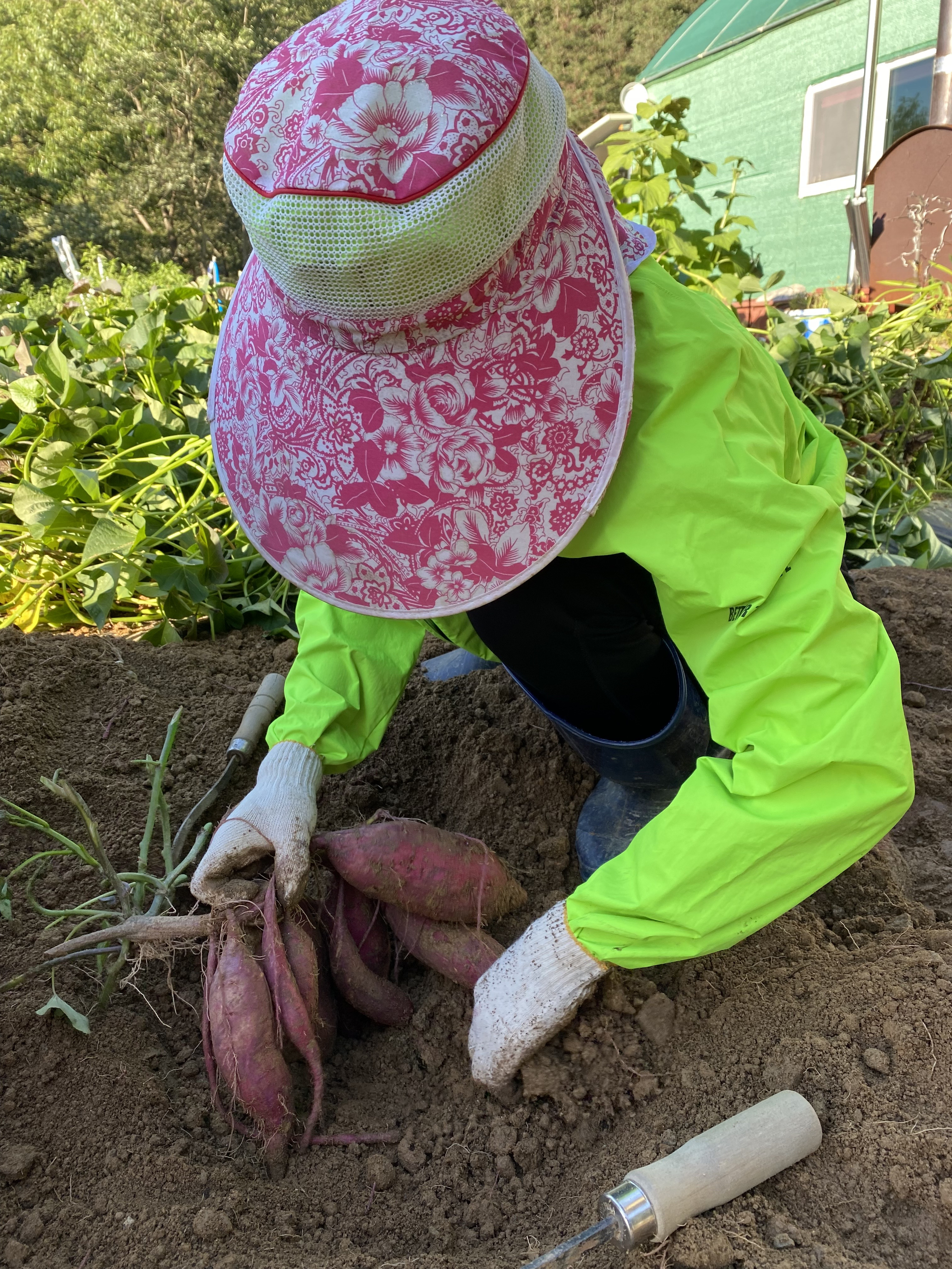 키푸(디저트카페)
