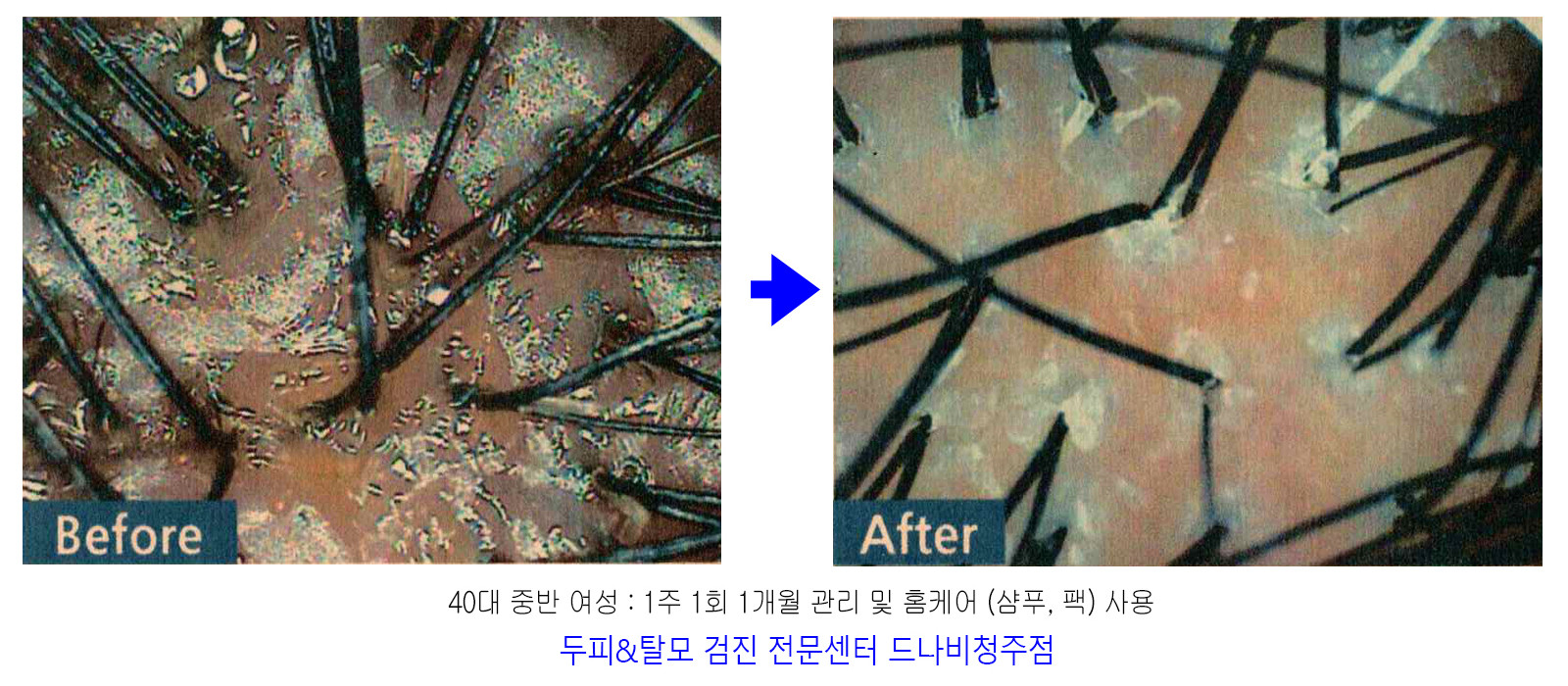 드나비 청주점