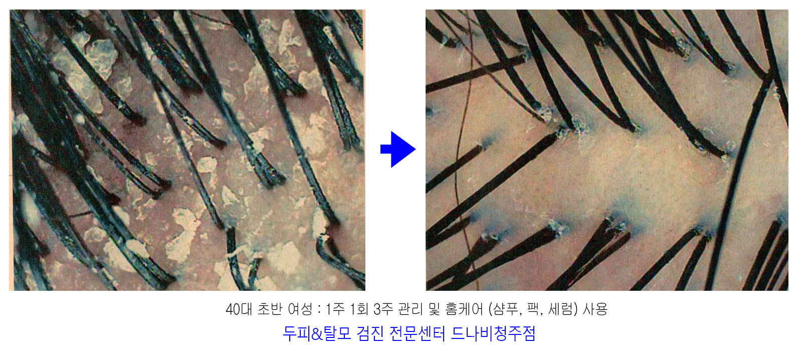 드나비 청주점