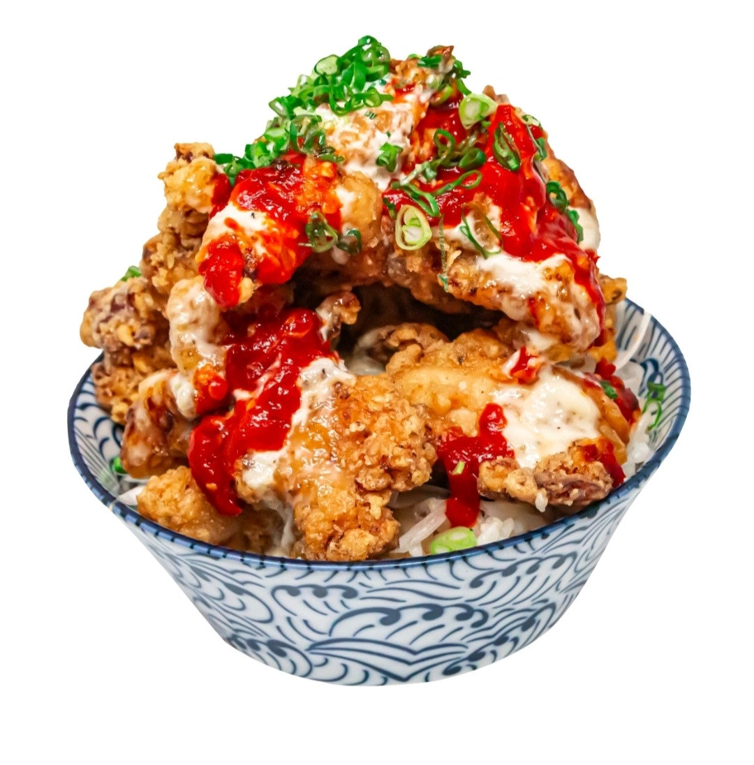 네코노스시