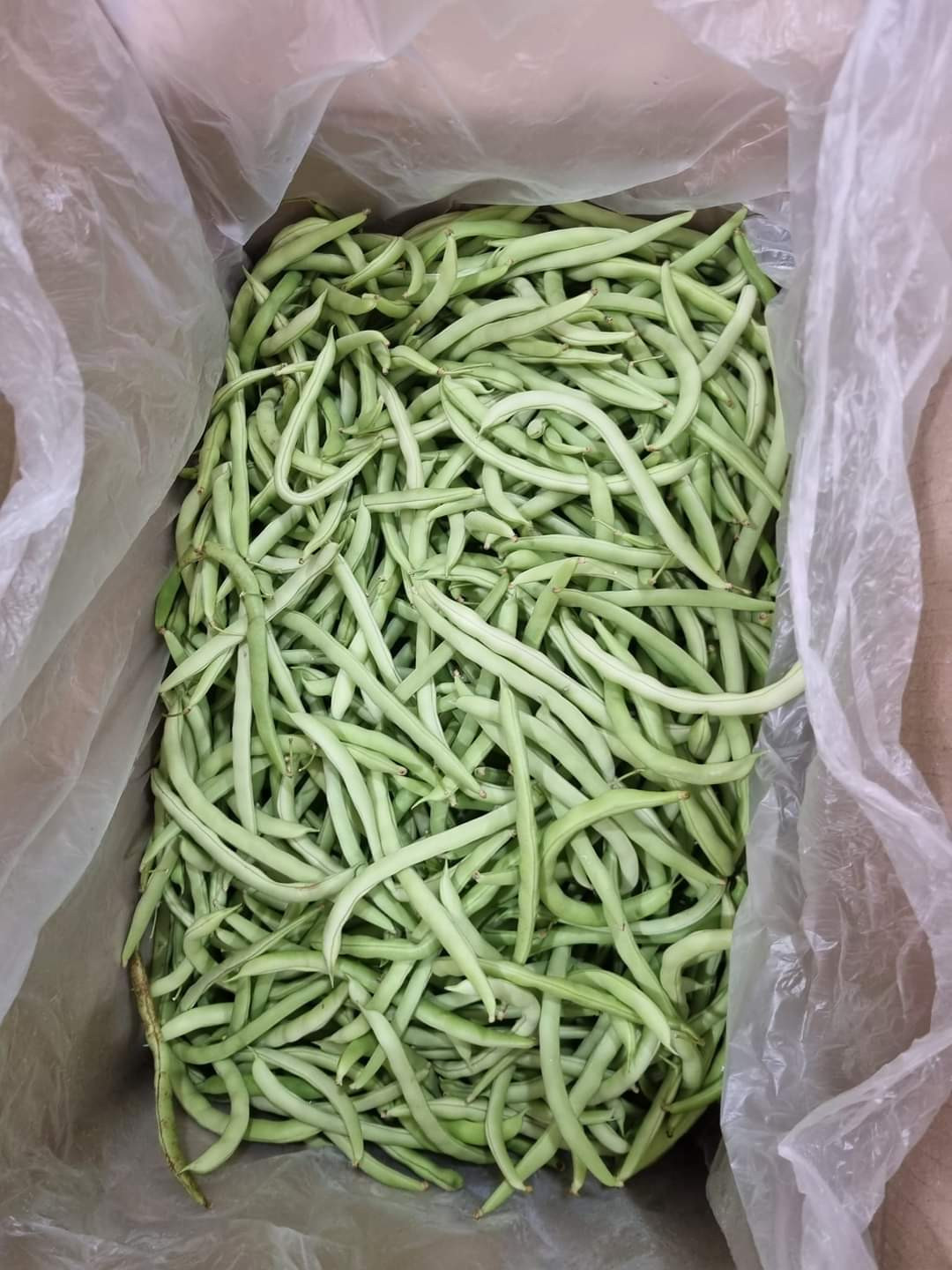 아시안마트