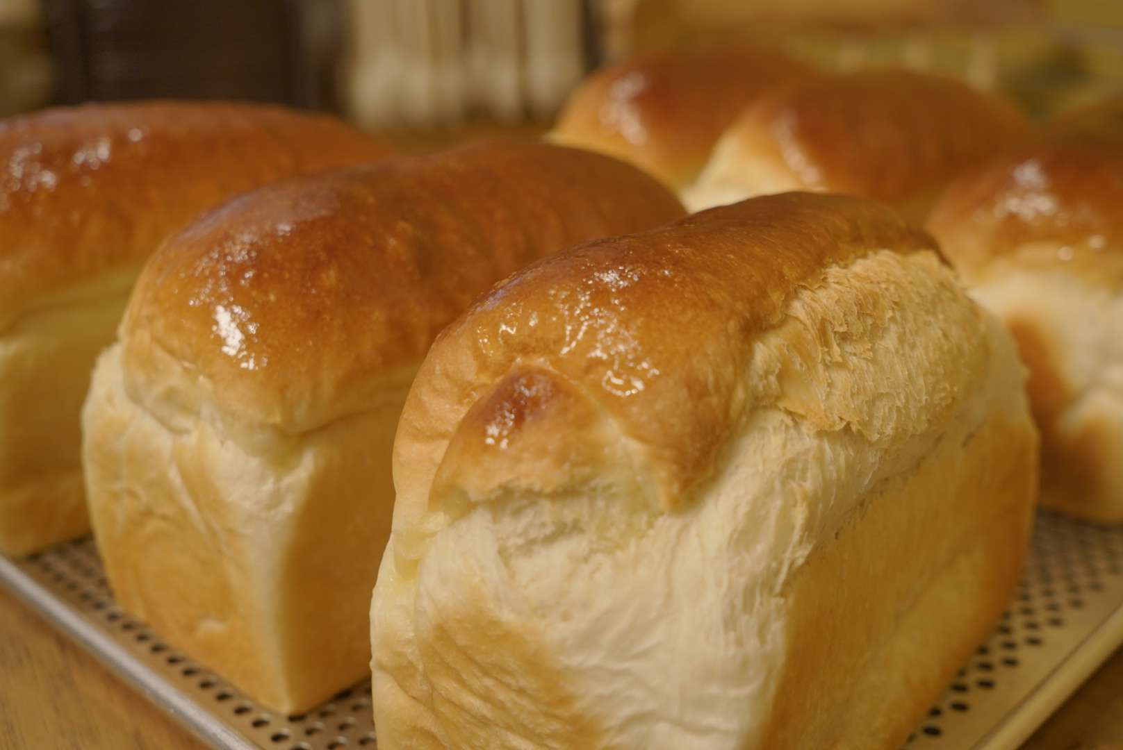 지니오븐