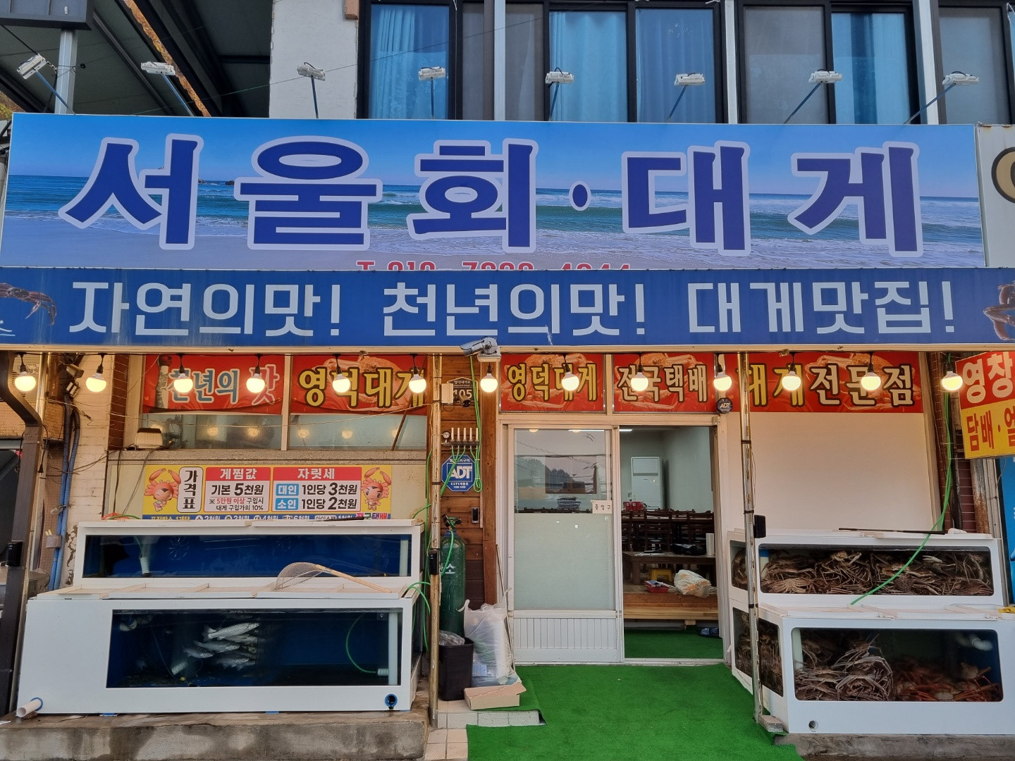 서울회대게