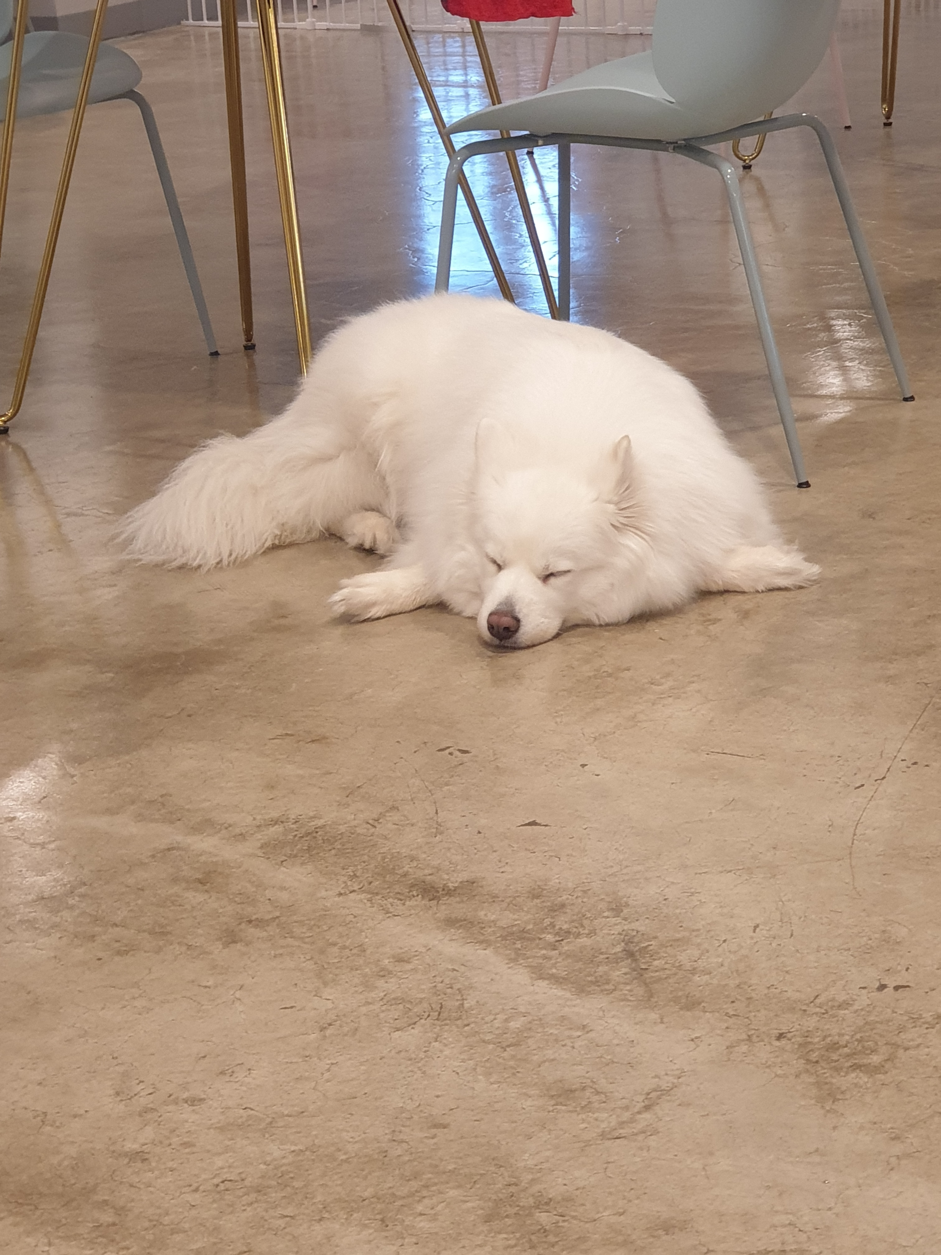 멍카페