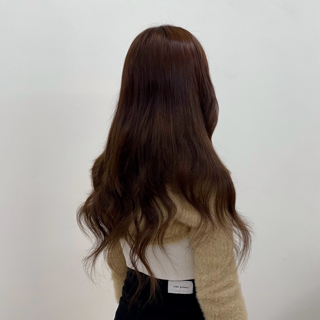 아니마레