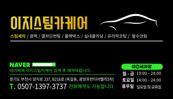 이지스팀카케어