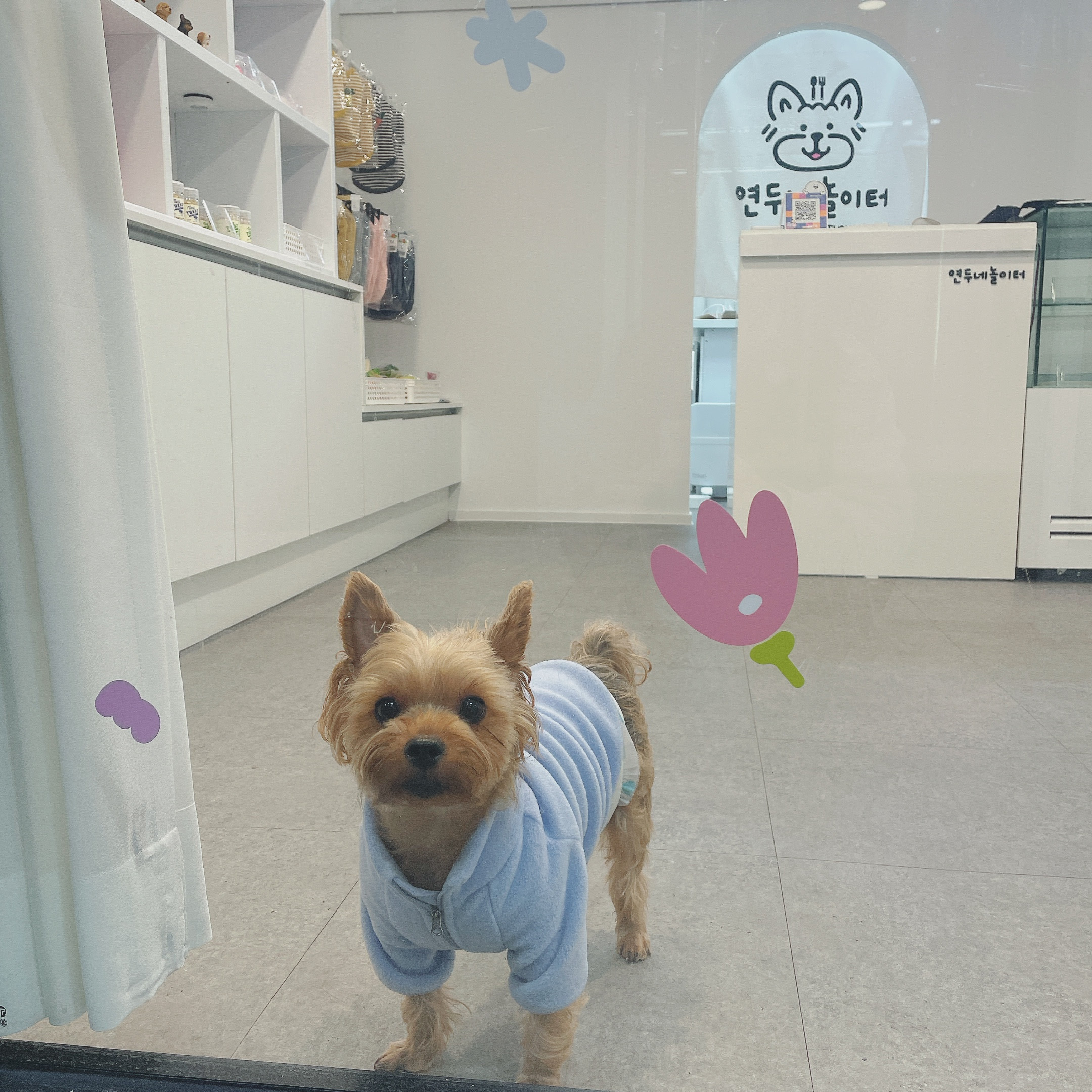연두네놀이터