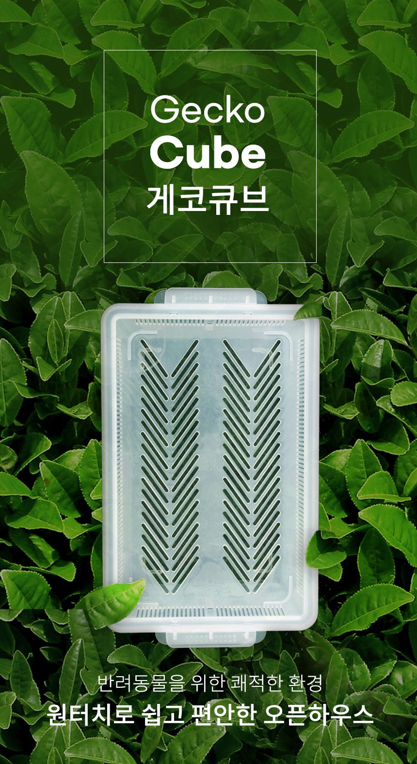 게코월드