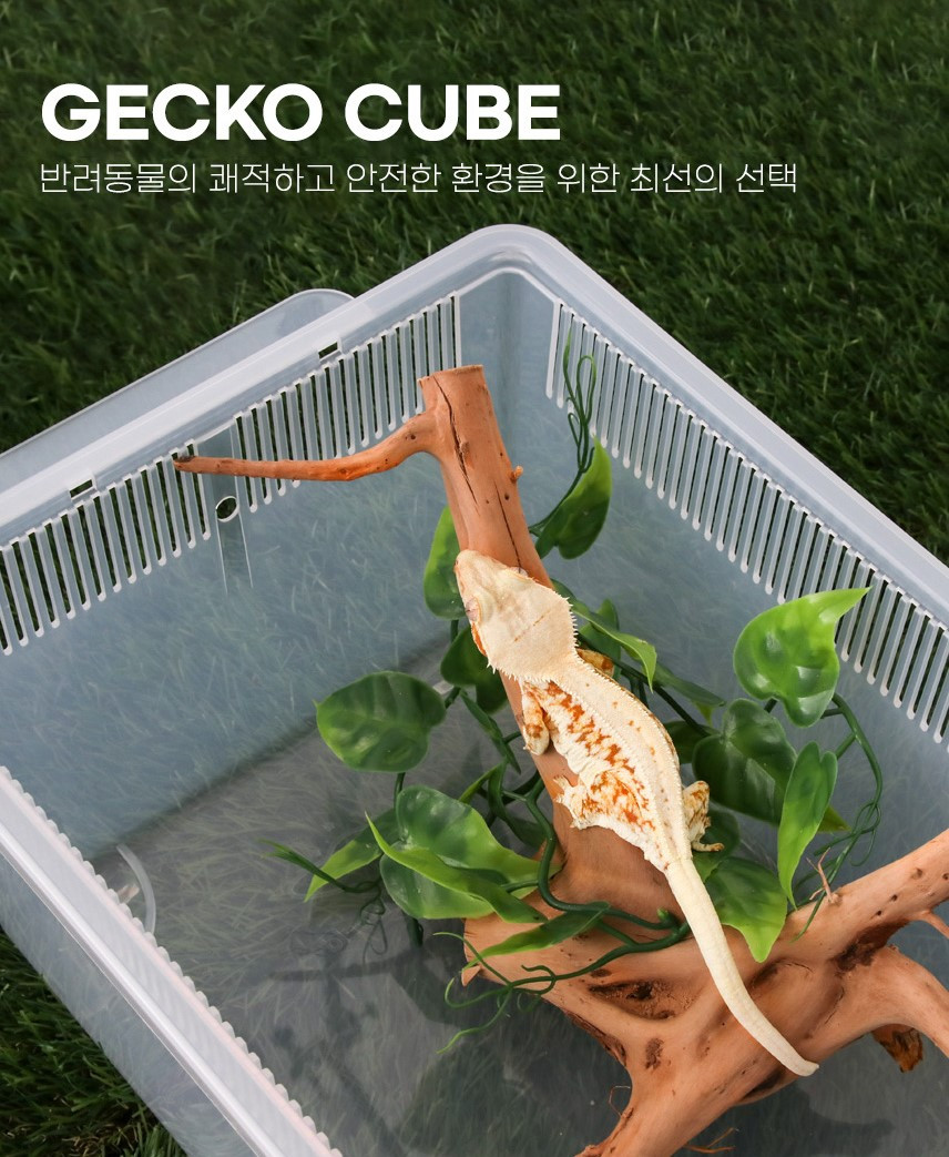 게코월드