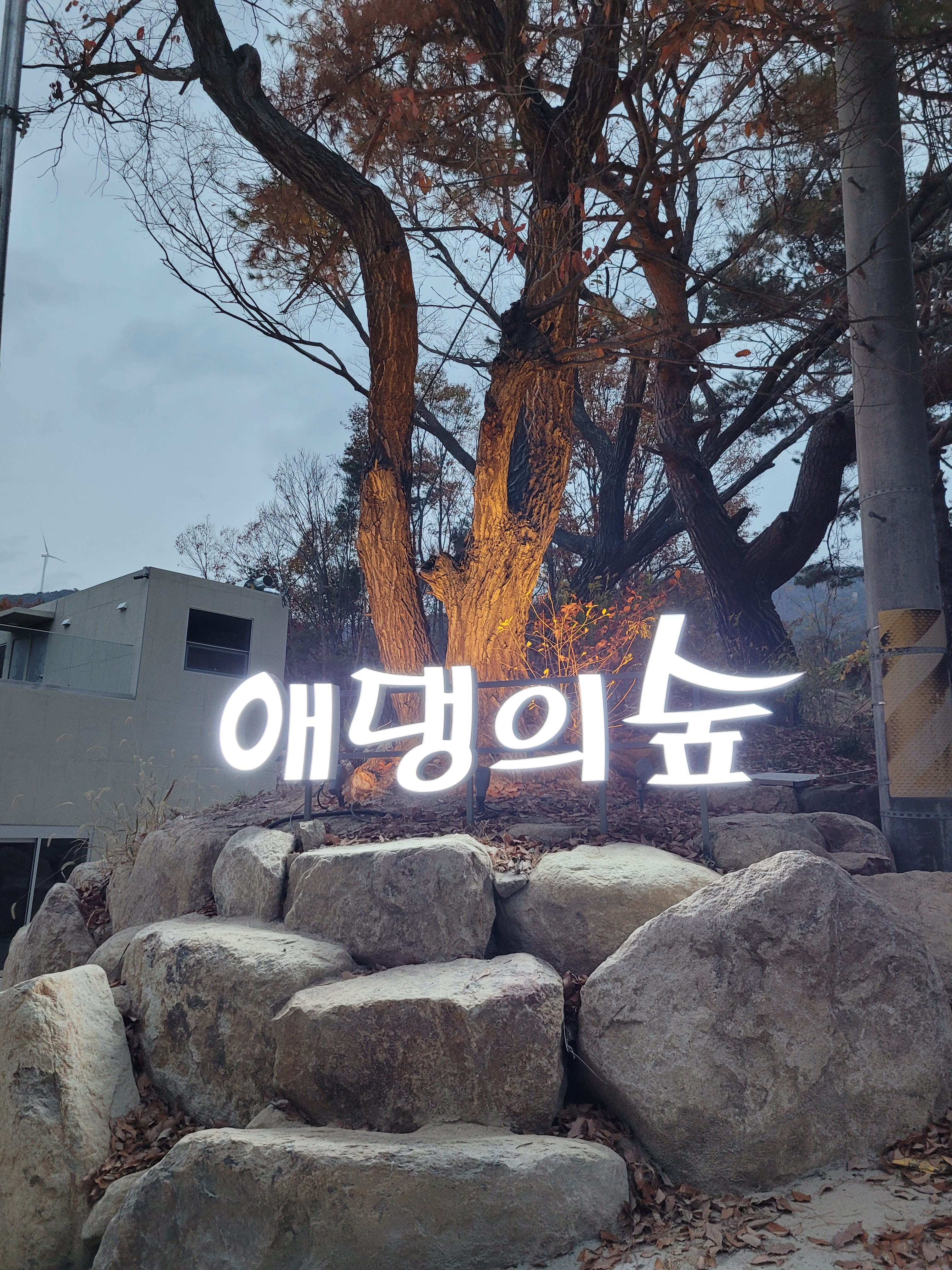 애댕의숲