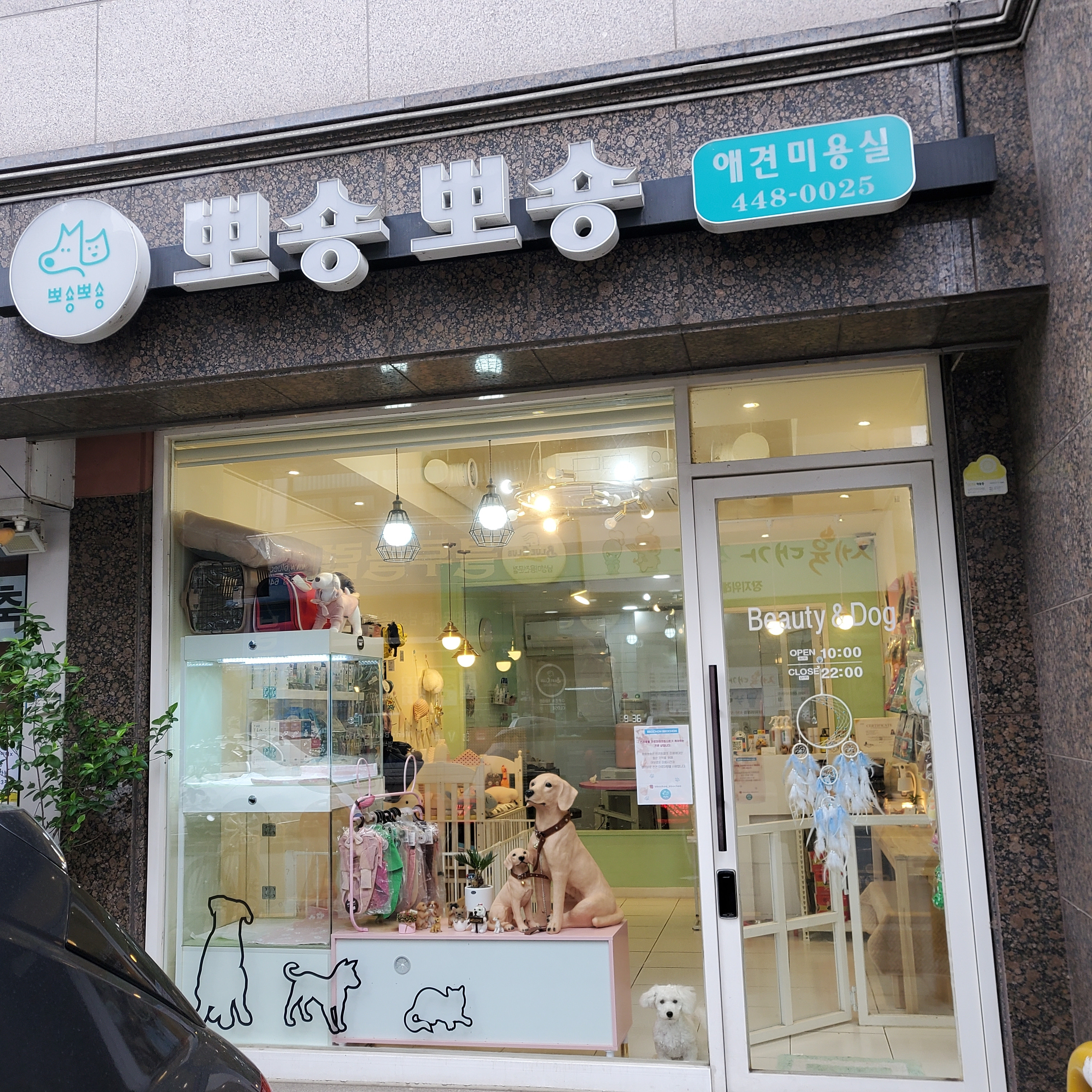 뽀숑뽀숑