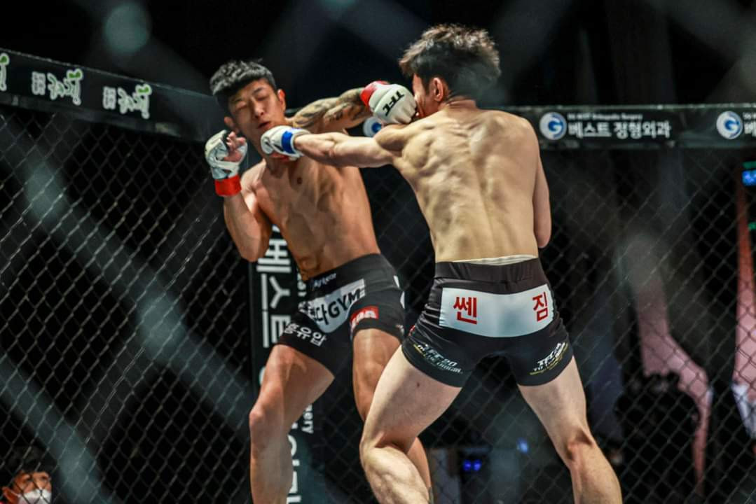 주먹다짐문정점