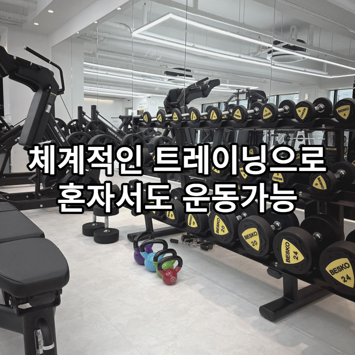 여성전용pt애룰바디
