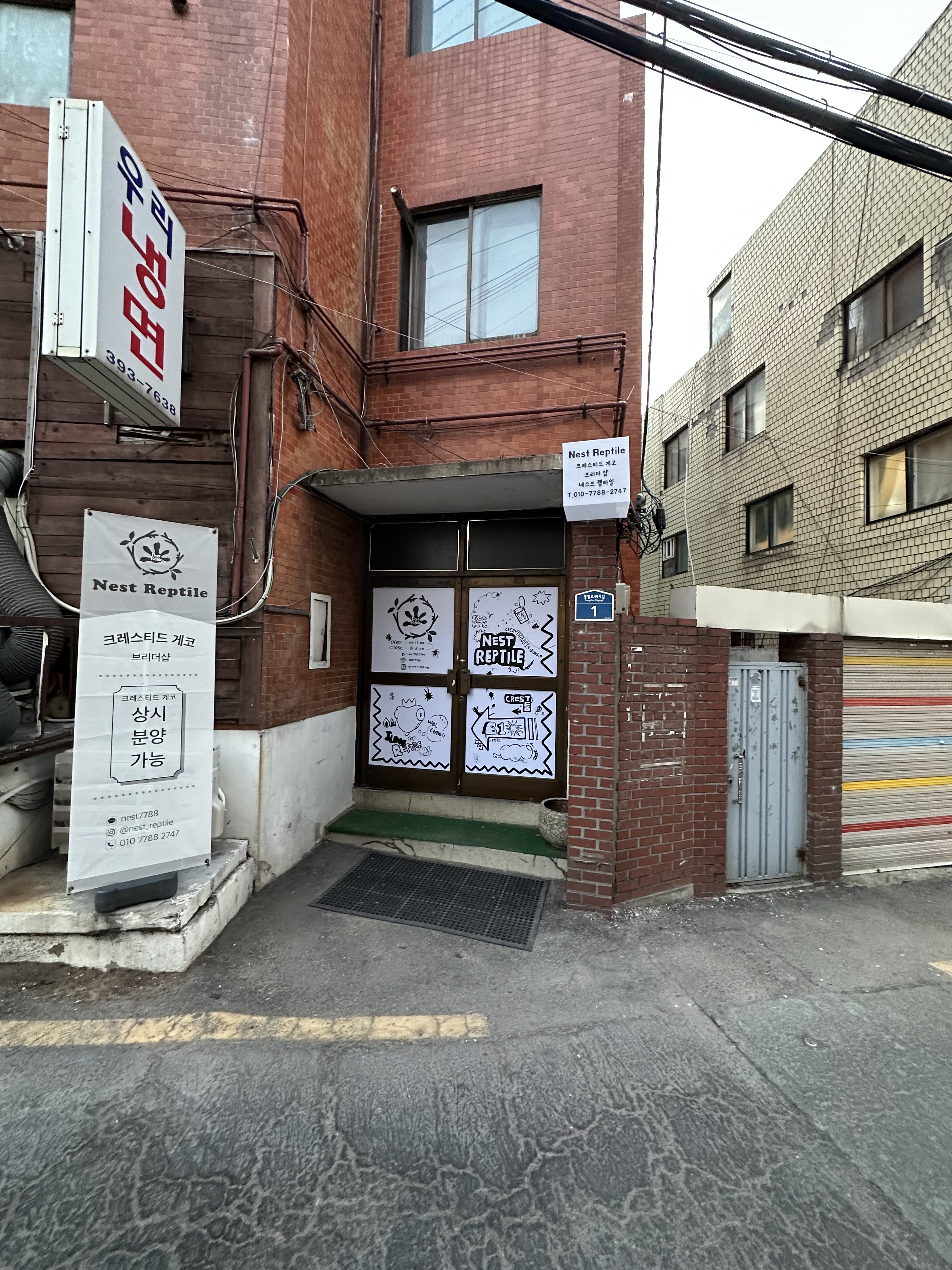네스트렙타일