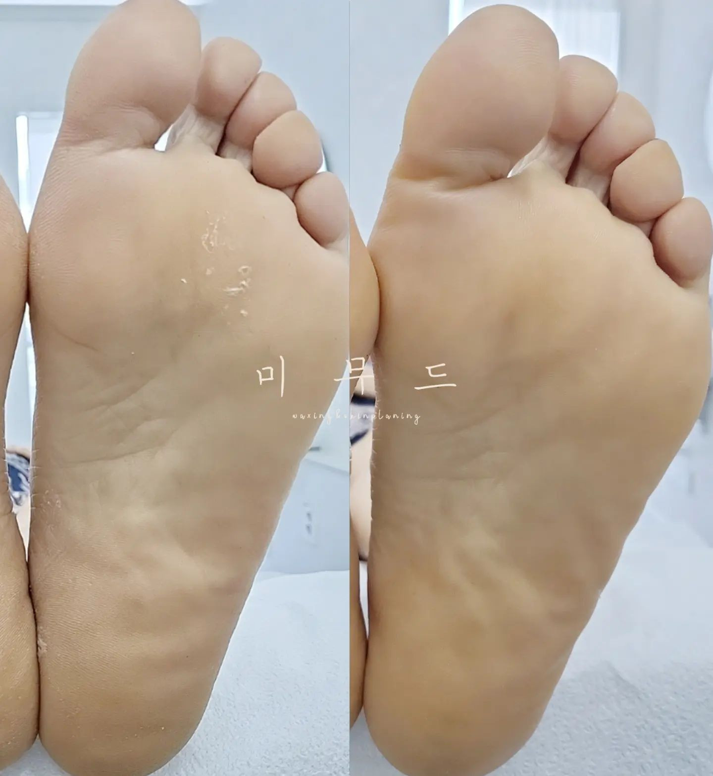 미무드