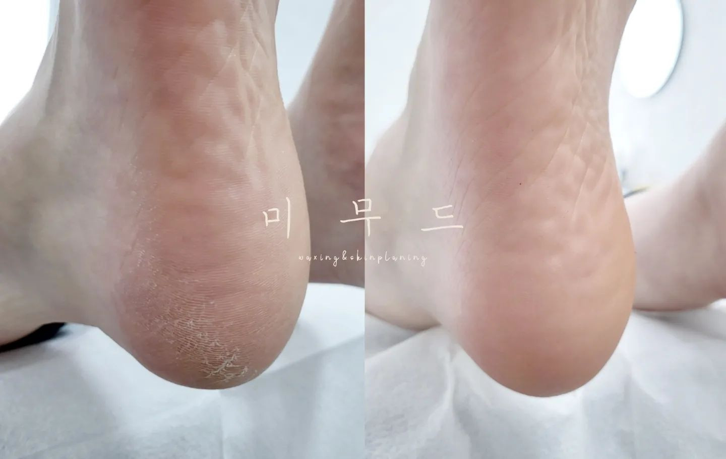 미무드