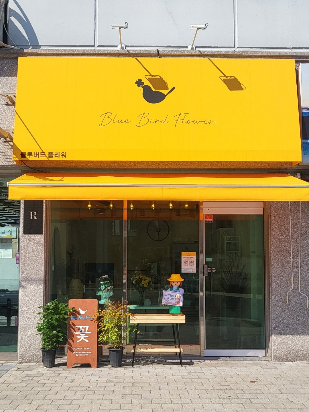 블루버드플라워