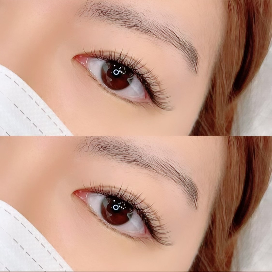 래쉬엘